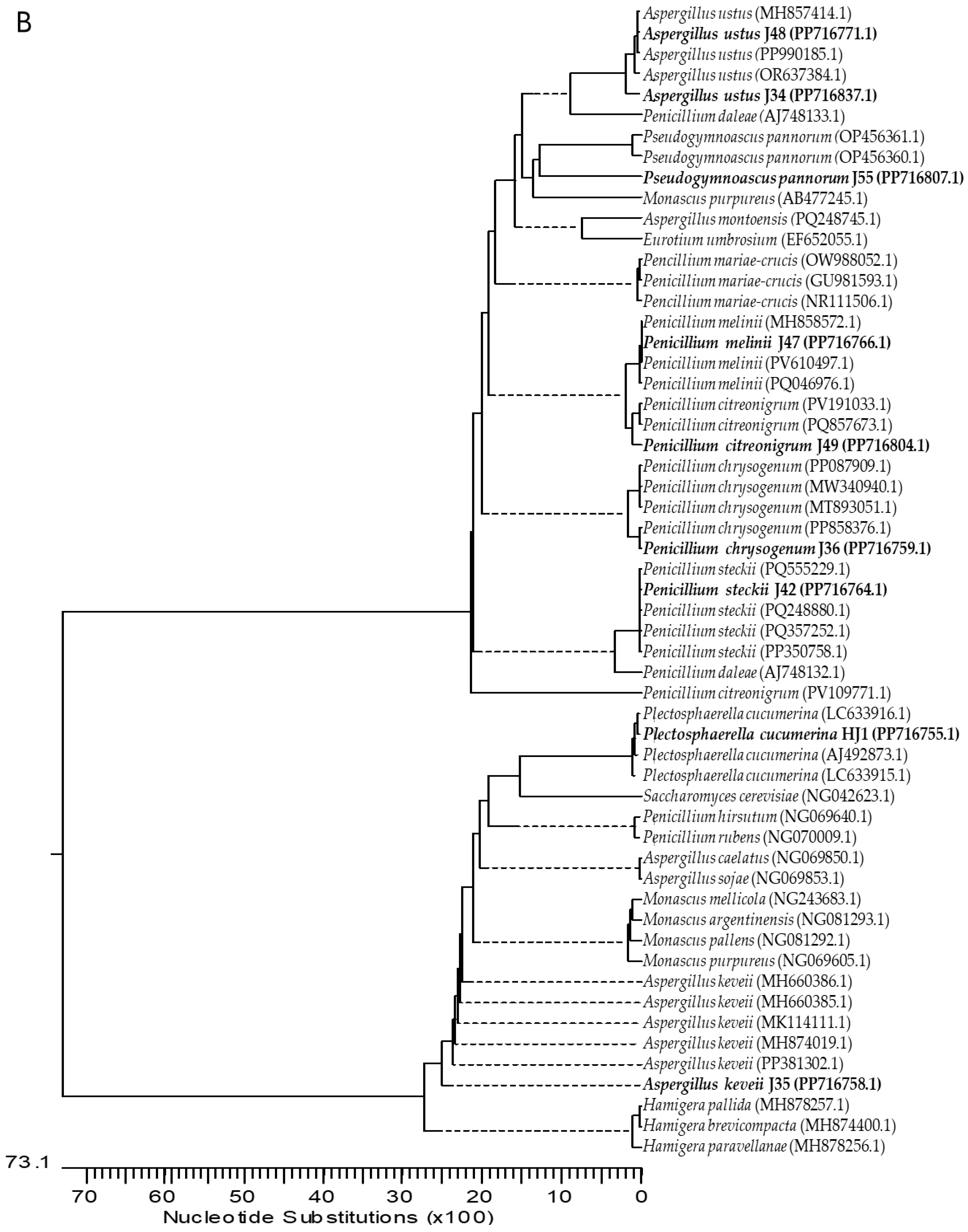 Agronomy 15 02711 g001b