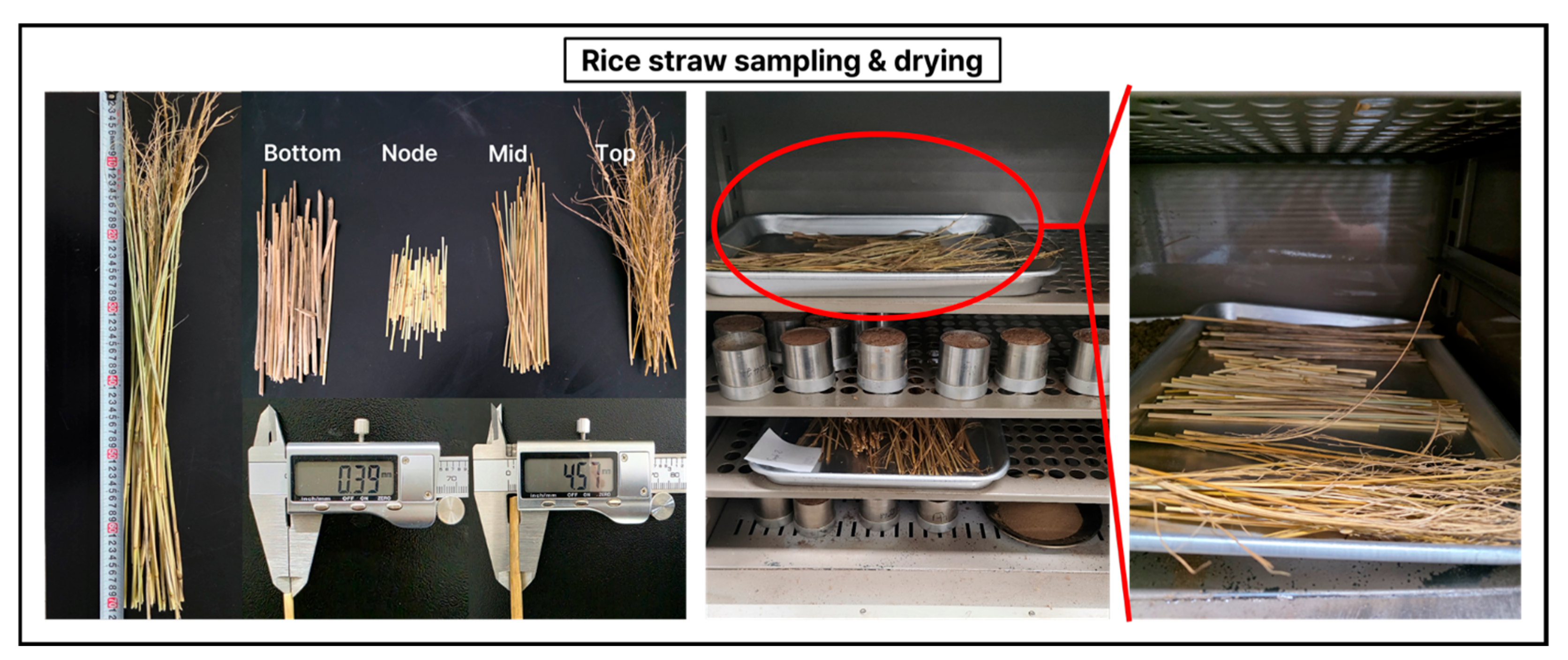 Agronomy 15 02712 g002
