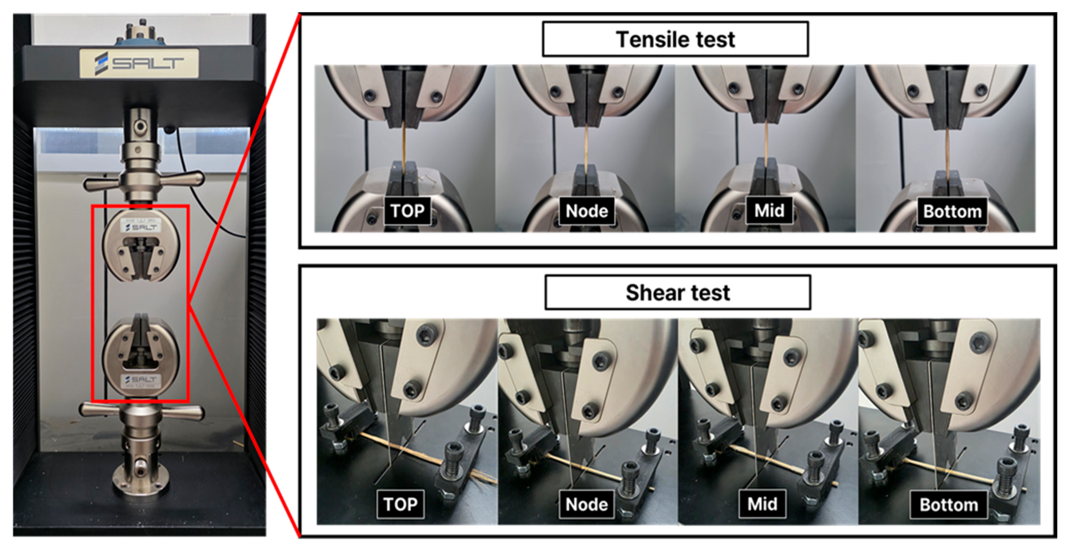 Agronomy 15 02712 g003
