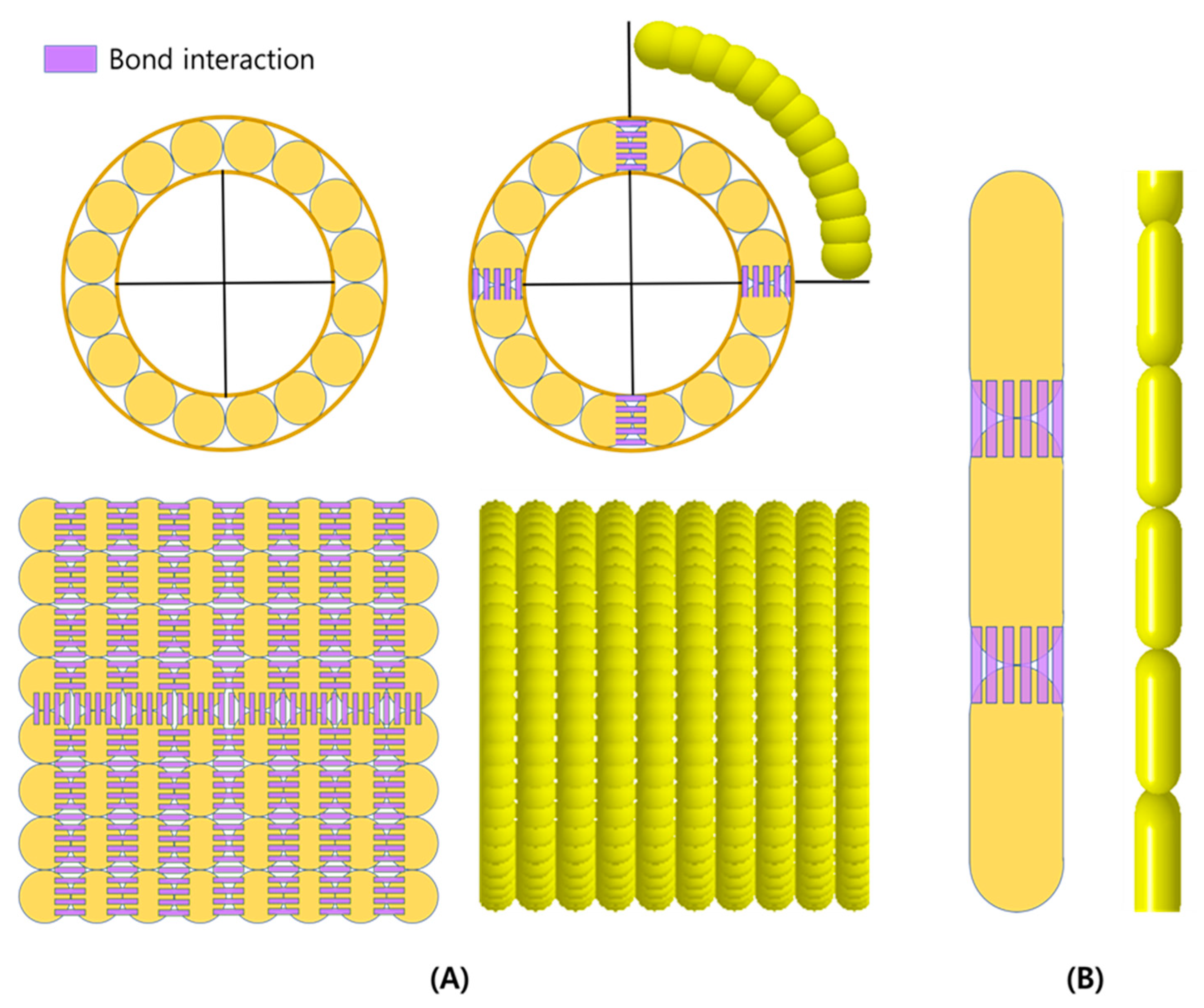 Agronomy 15 02712 g005
