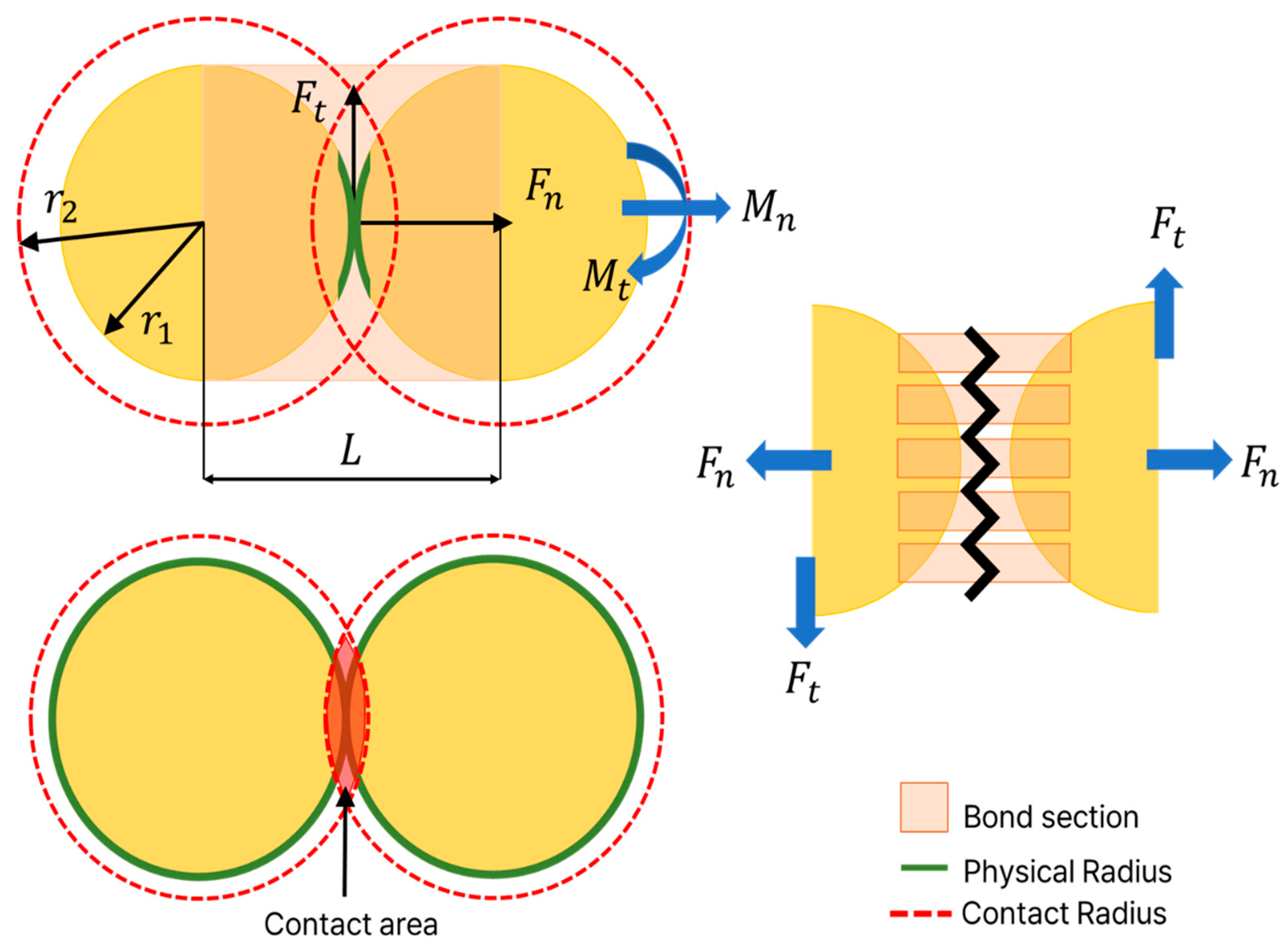 Agronomy 15 02712 g006