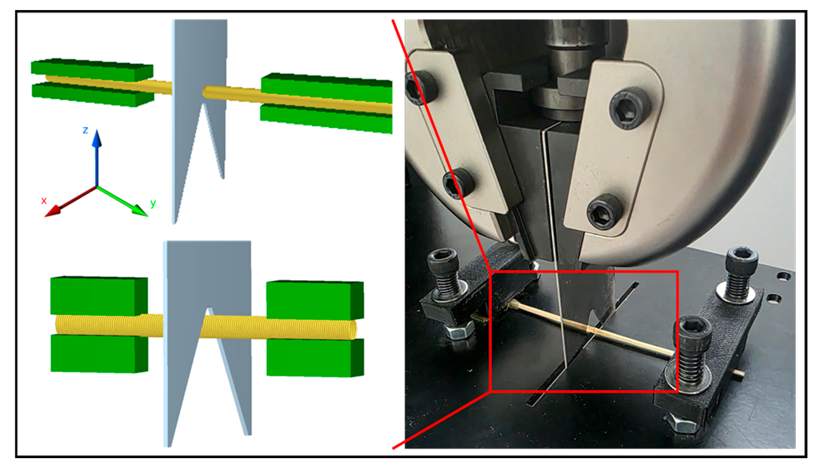 Agronomy 15 02712 g008