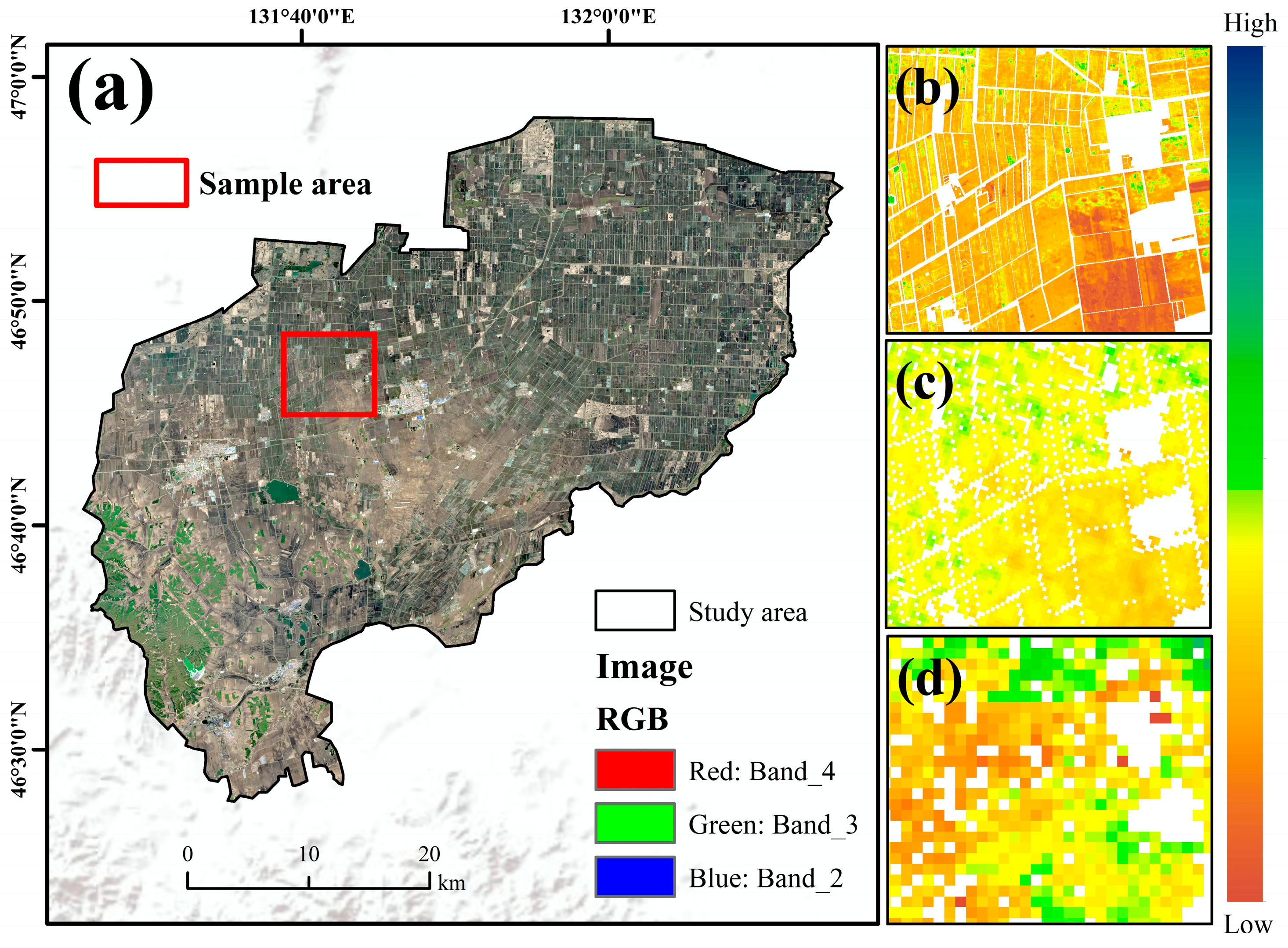 Agronomy 15 02714 g007