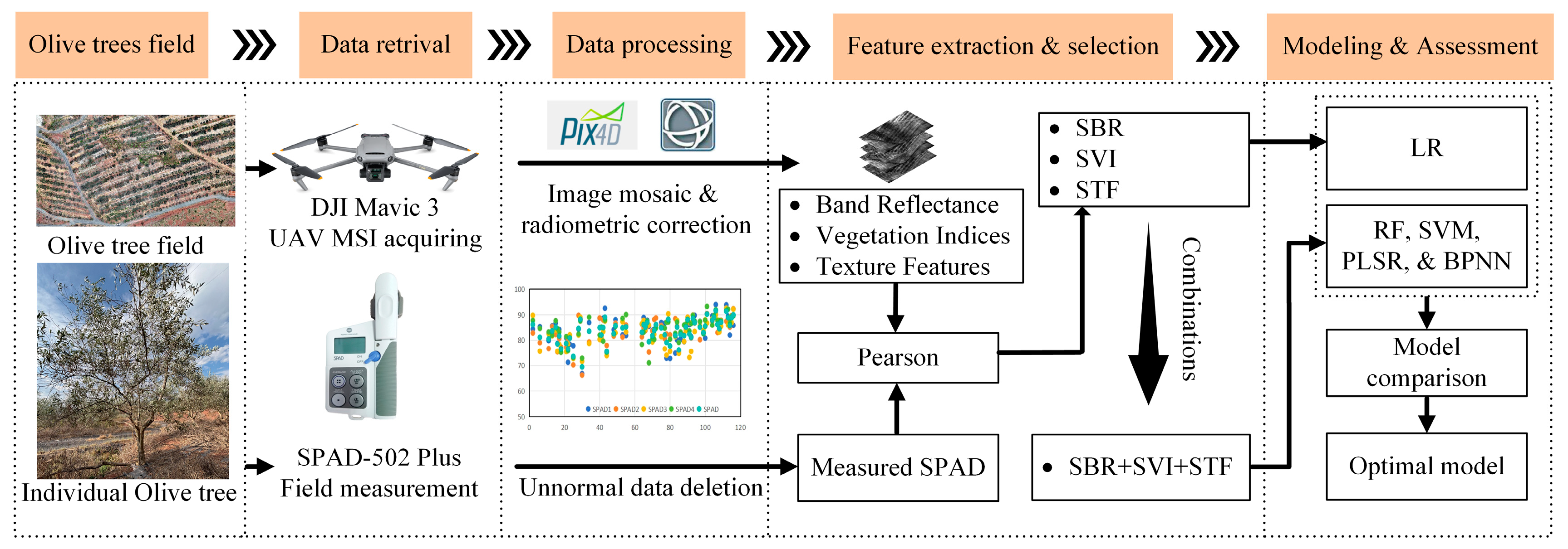 Agronomy 15 02718 g002