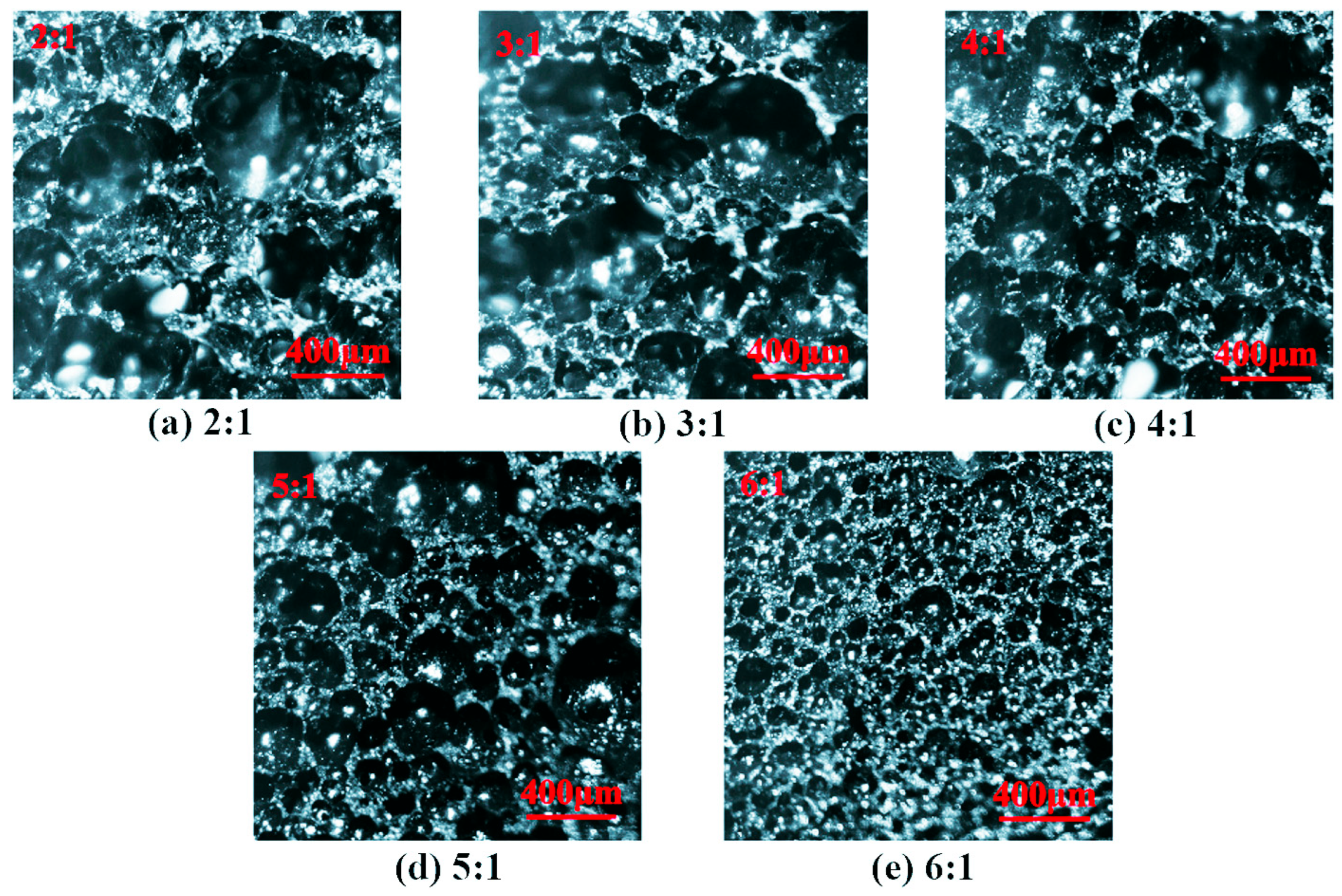 Agronomy 15 02720 g004