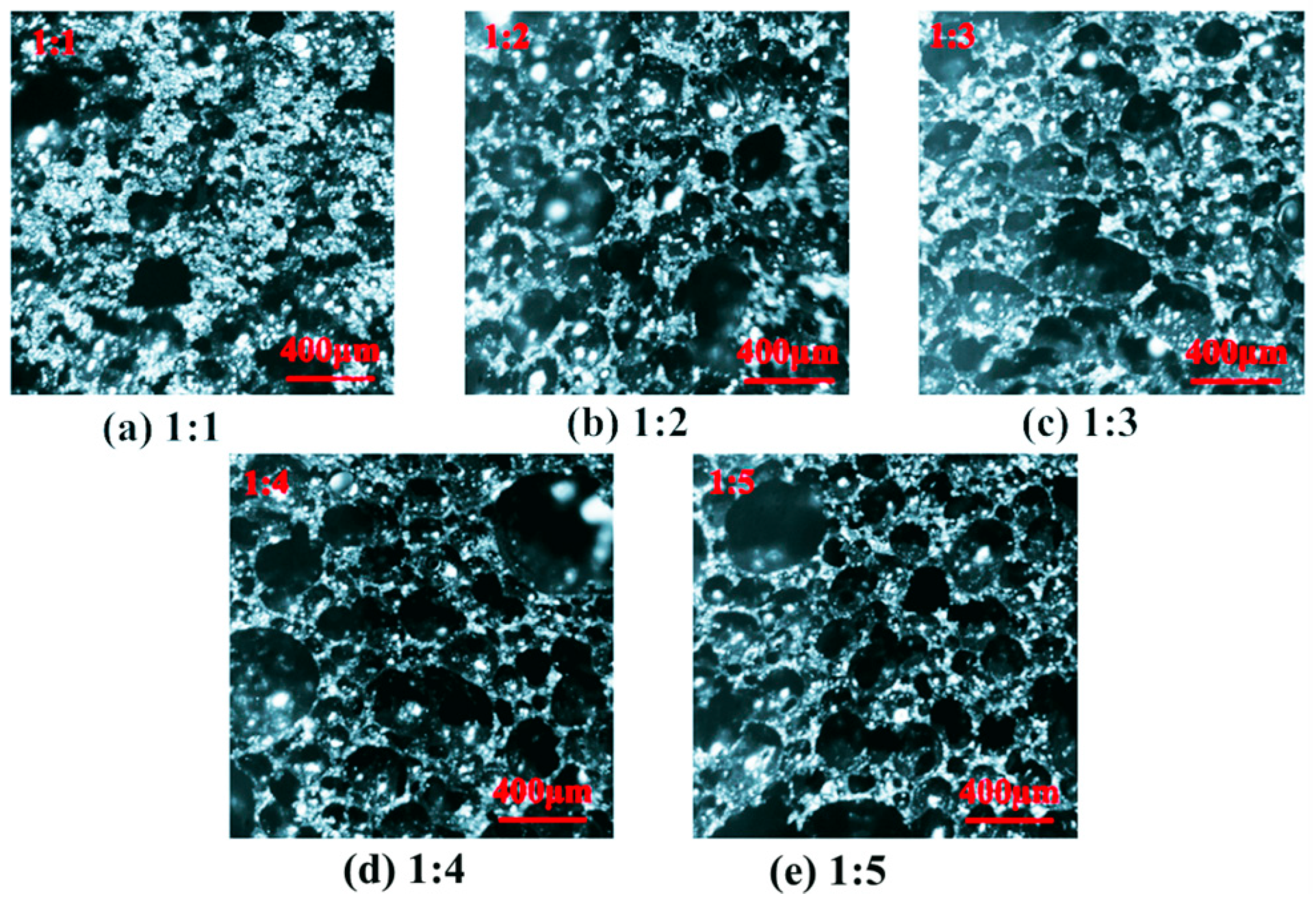 Agronomy 15 02720 g008