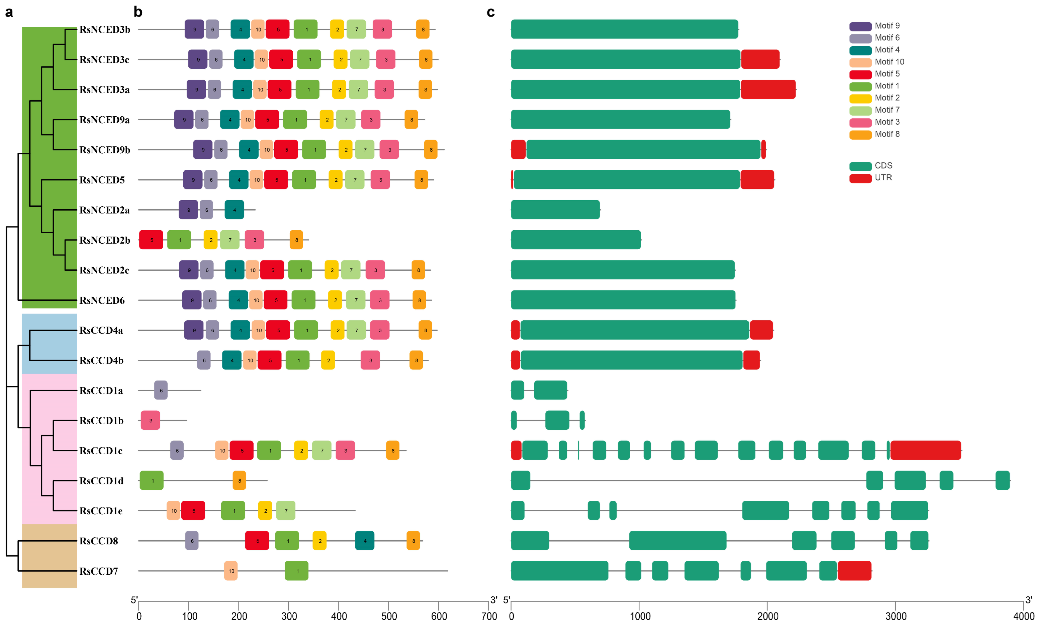 Agronomy 15 02722 g002