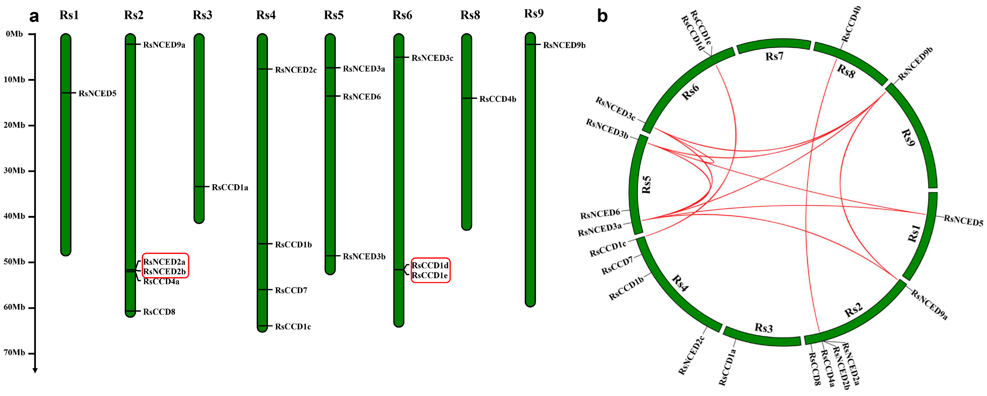 Agronomy 15 02722 g003