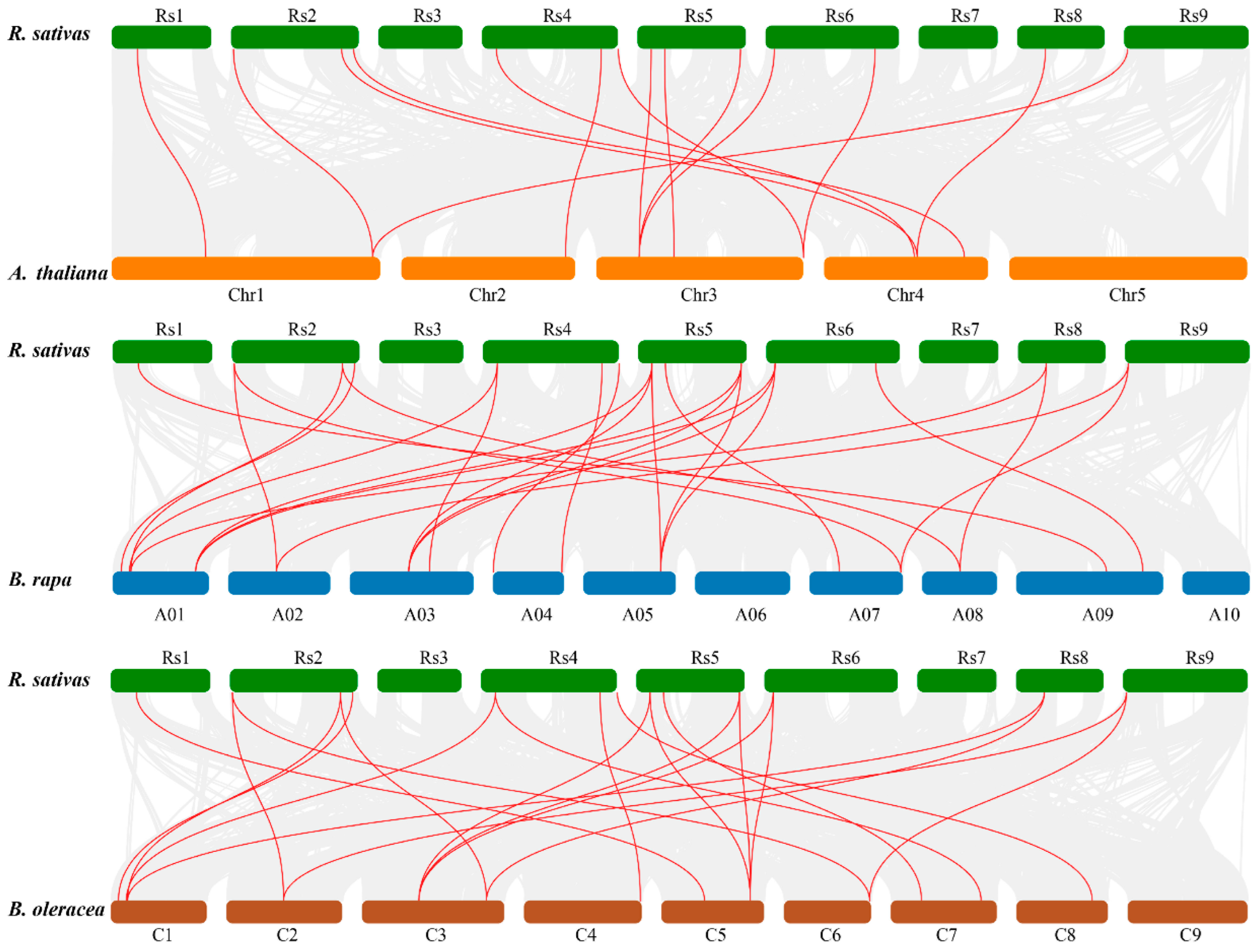 Agronomy 15 02722 g004