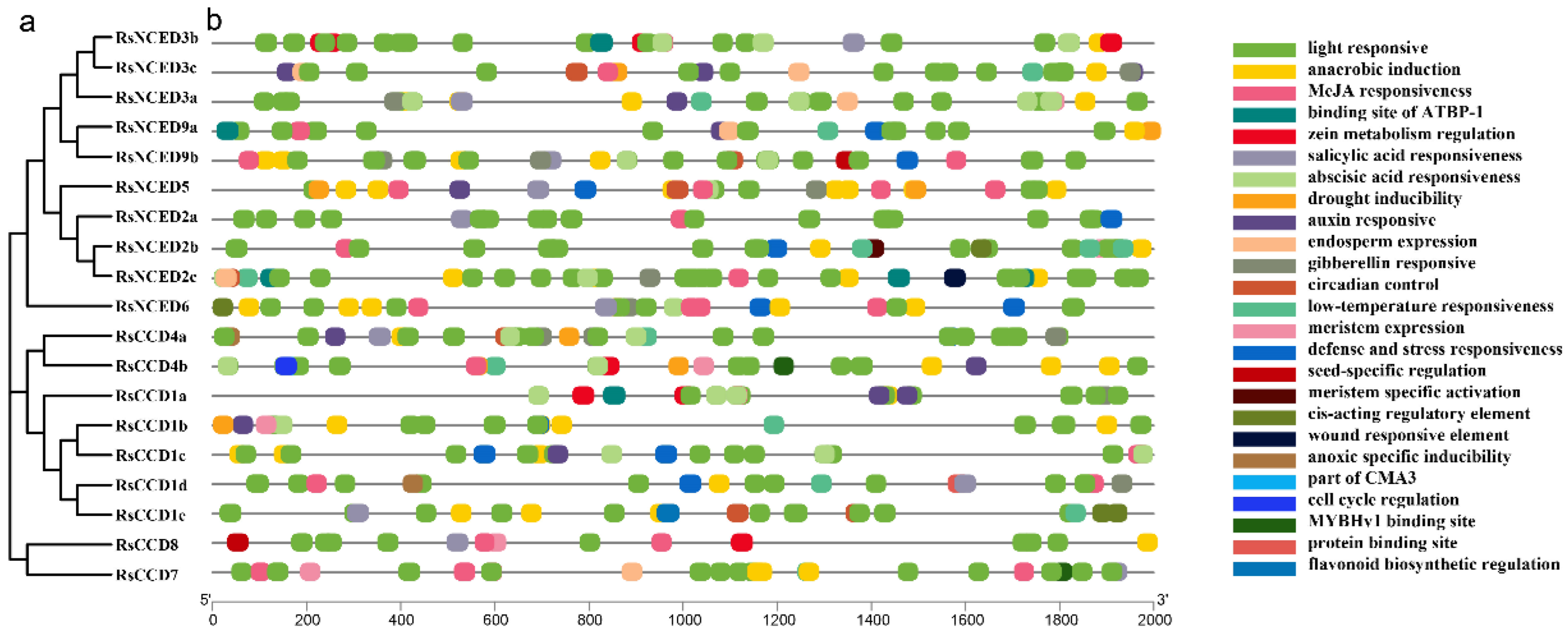 Agronomy 15 02722 g005