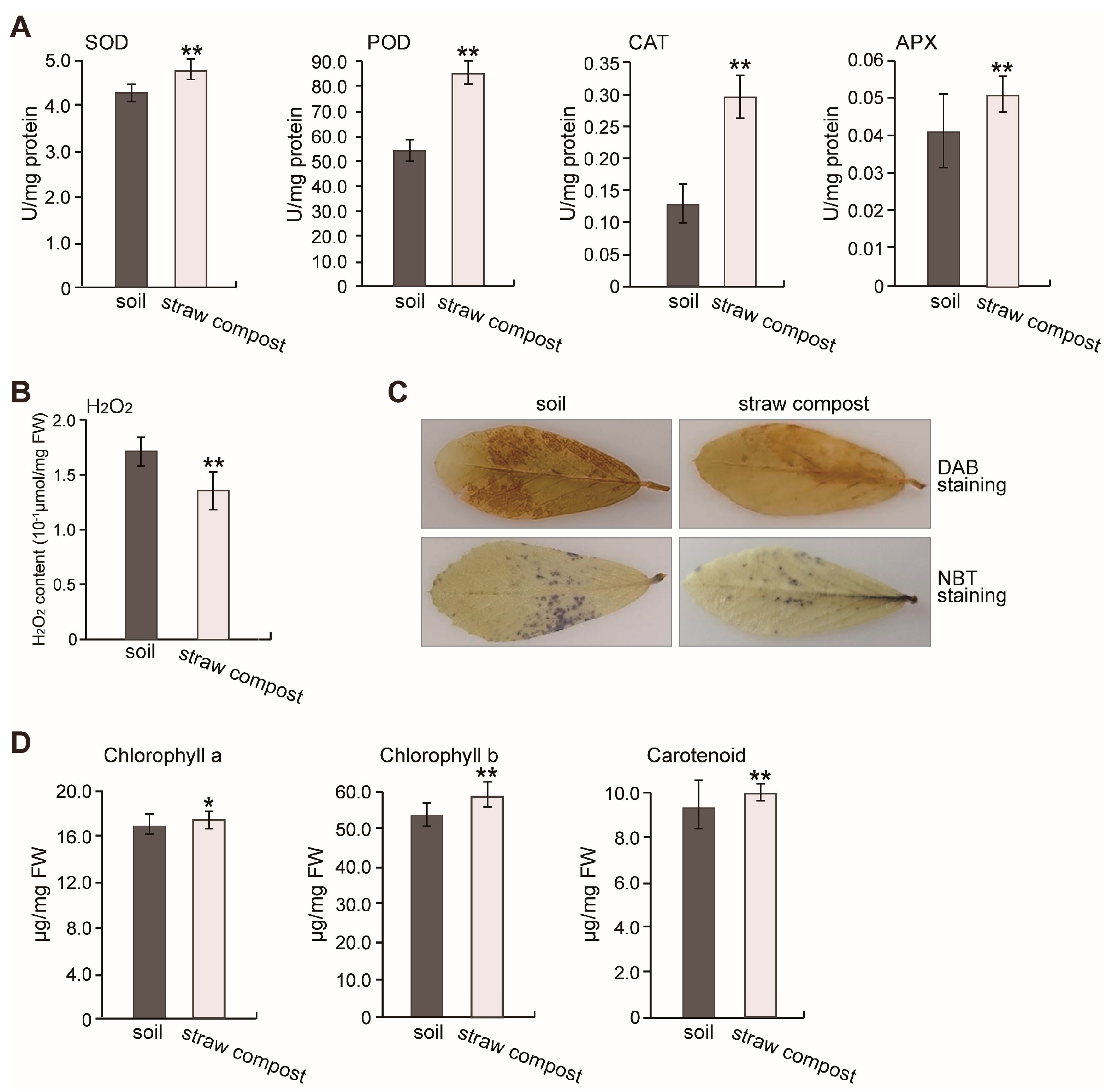 Agronomy 15 02723 g002