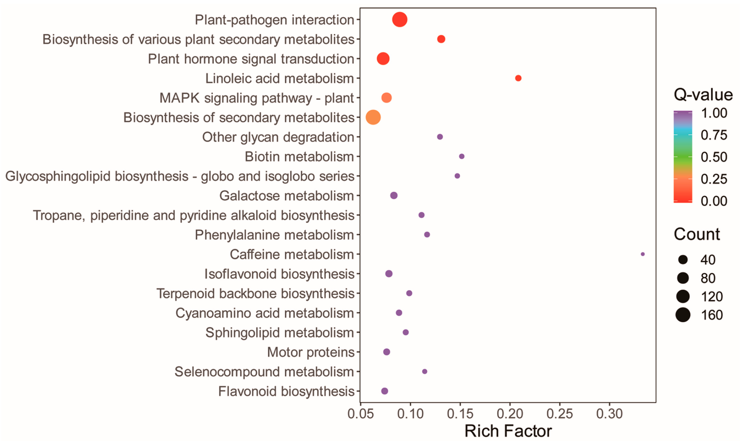 Agronomy 15 02723 g006