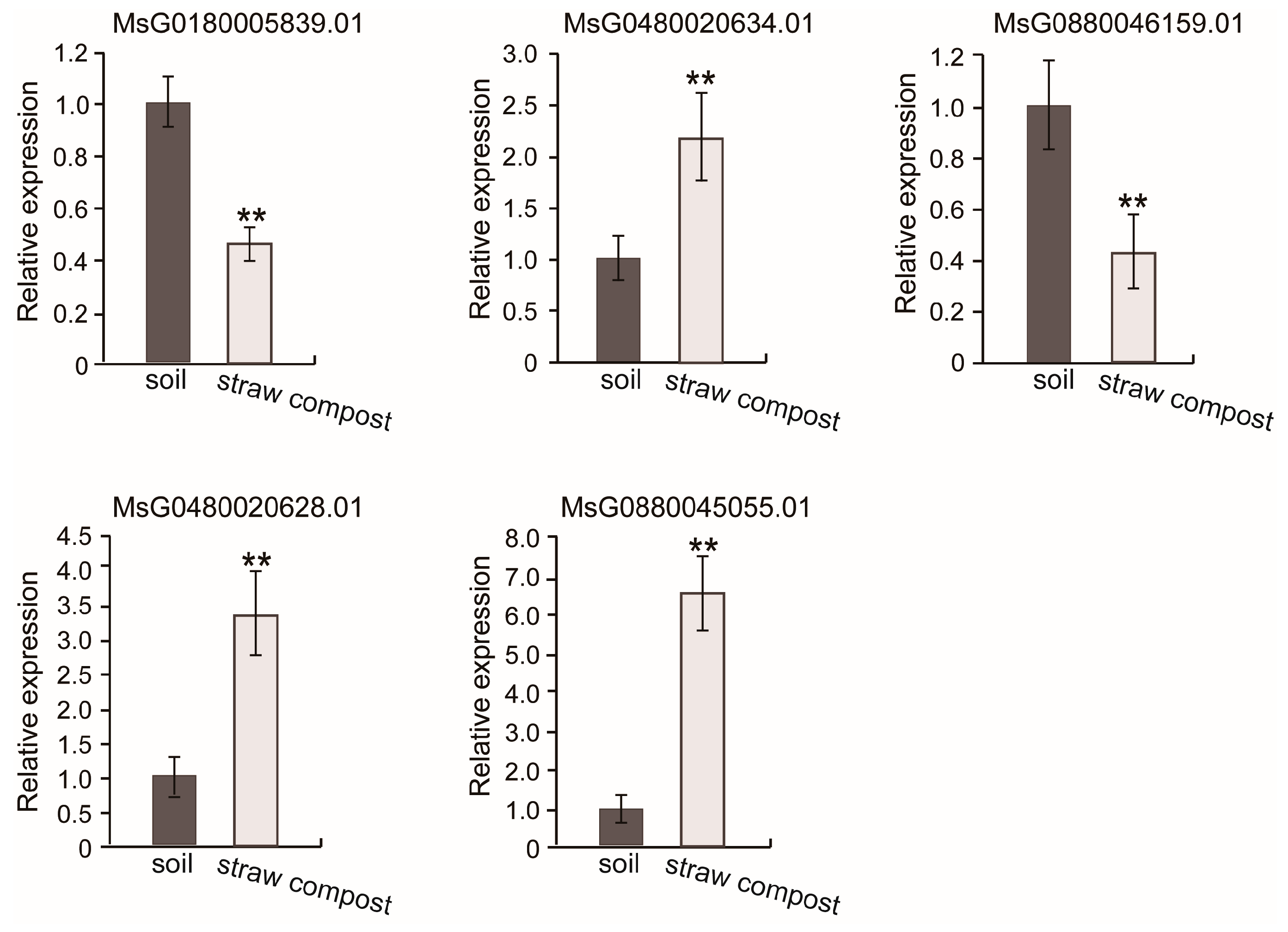 Agronomy 15 02723 g008