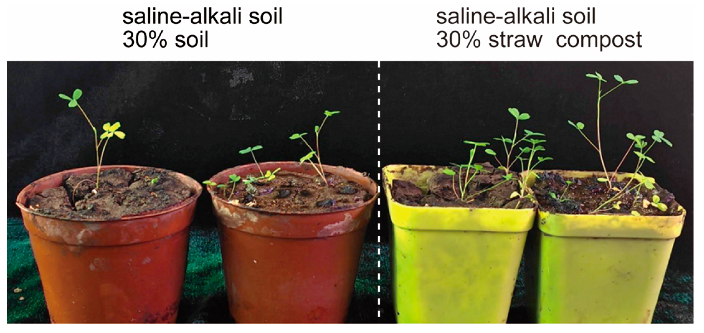 Agronomy 15 02723 g009