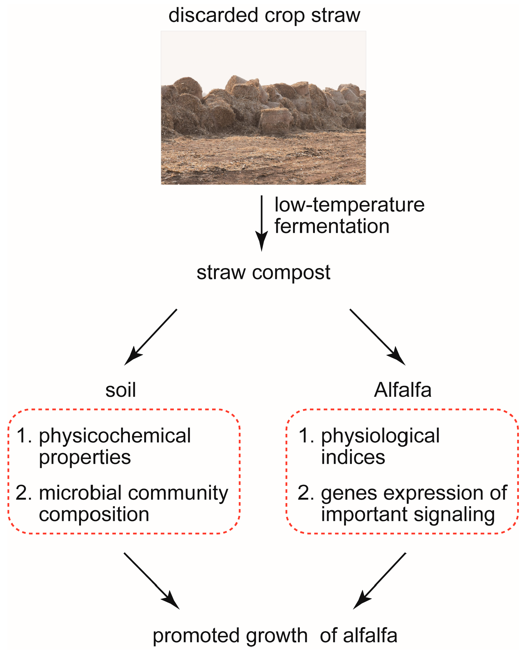 Agronomy 15 02723 g010