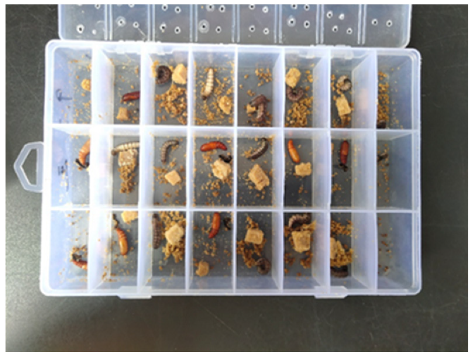 Agronomy 15 02724 g002