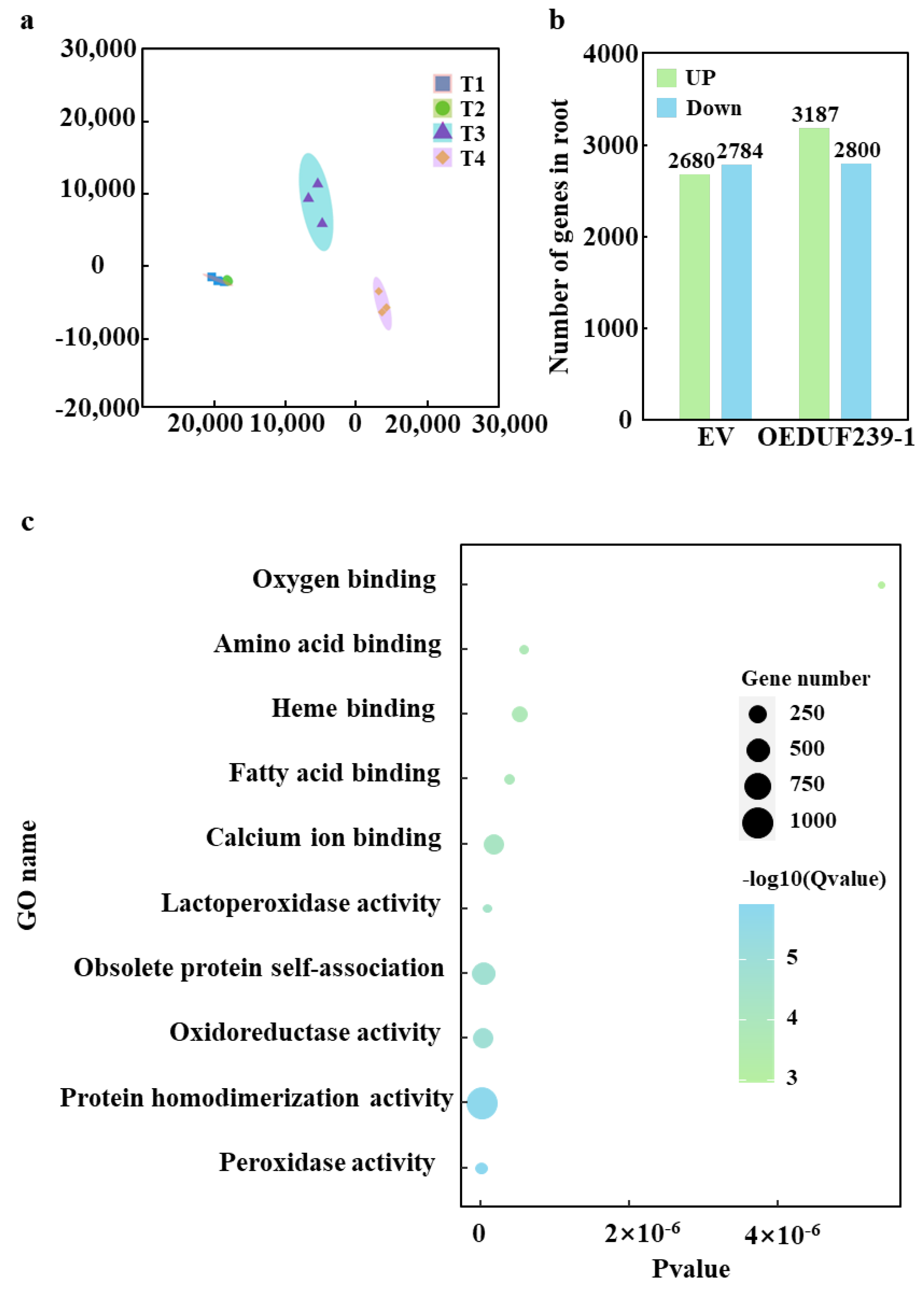 Agronomy 15 02725 g002