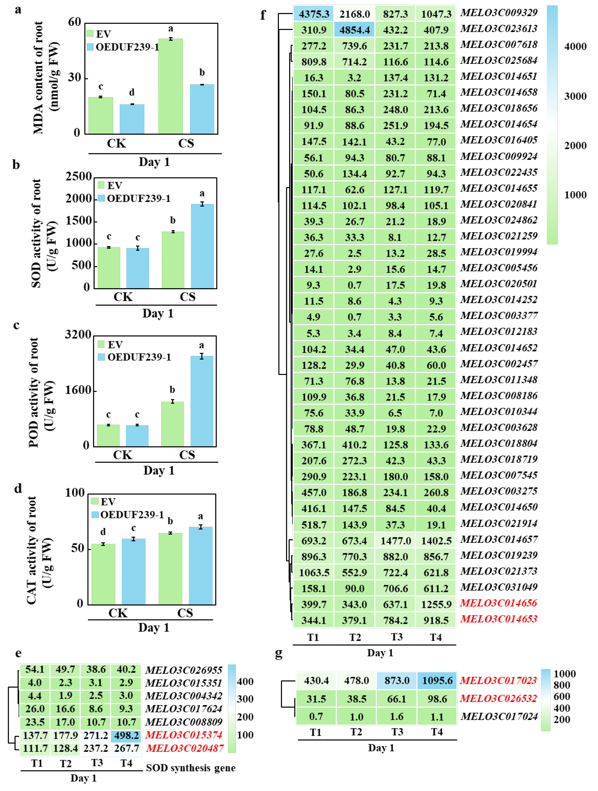 Agronomy 15 02725 g003
