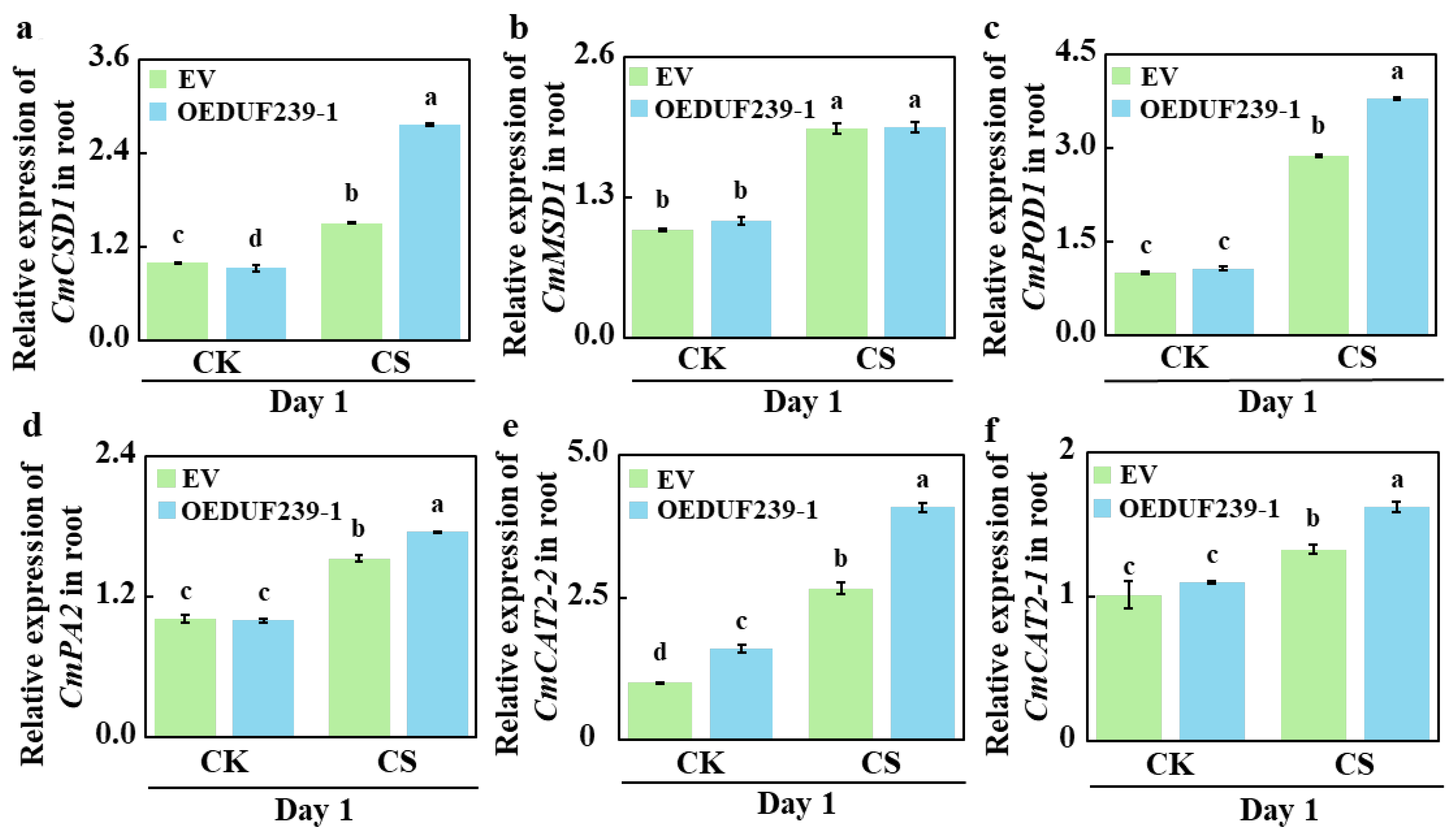 Agronomy 15 02725 g004