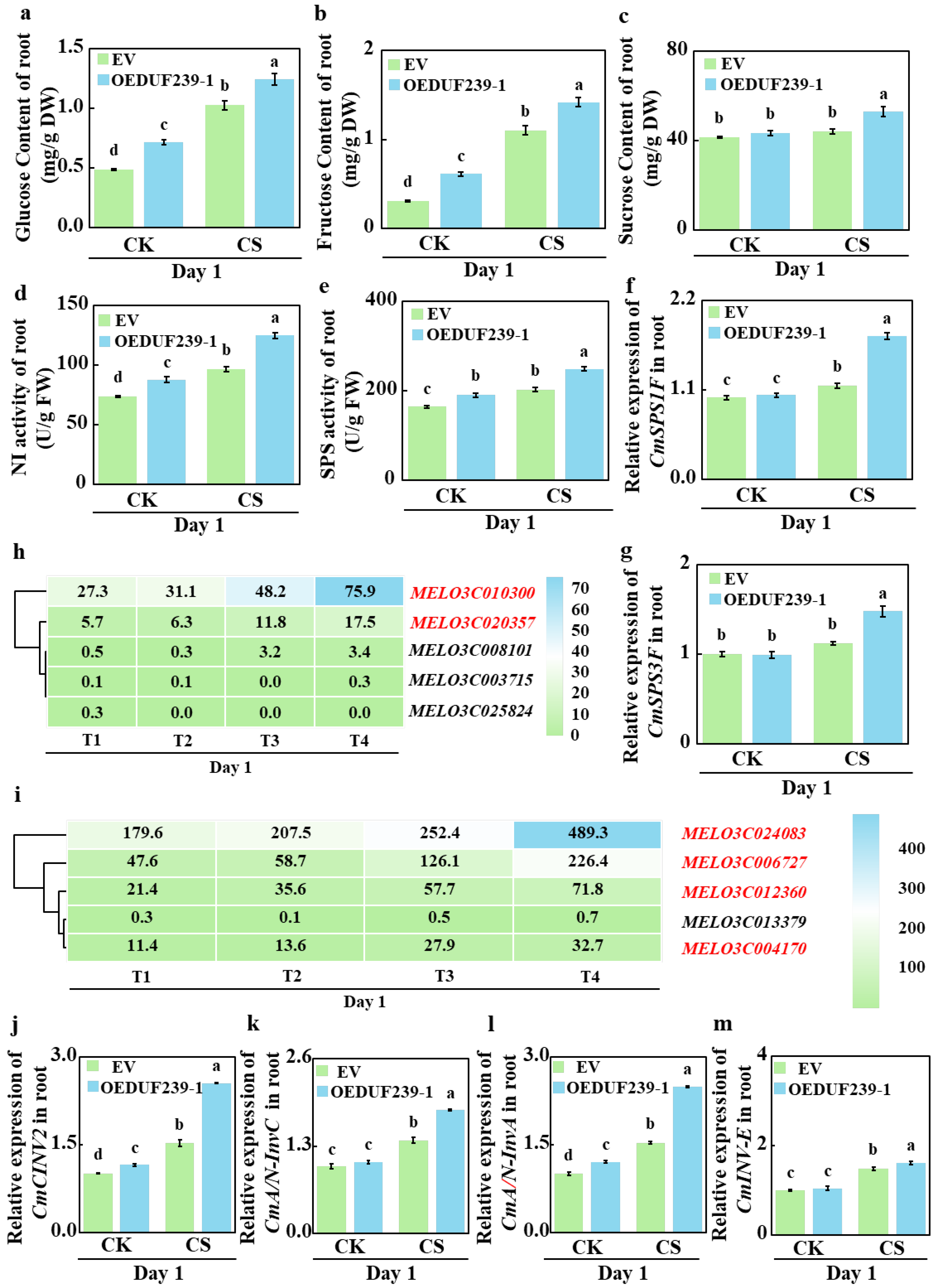 Agronomy 15 02725 g005