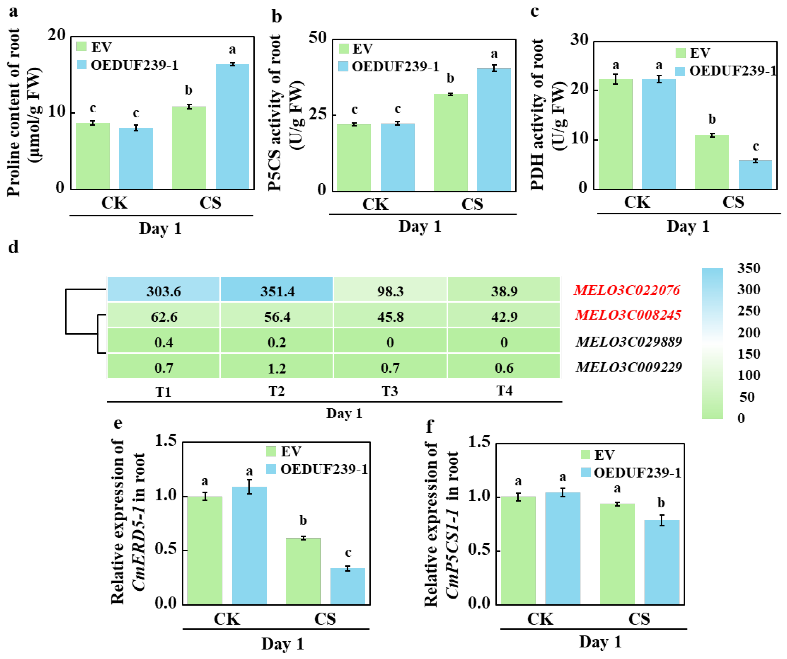 Agronomy 15 02725 g006