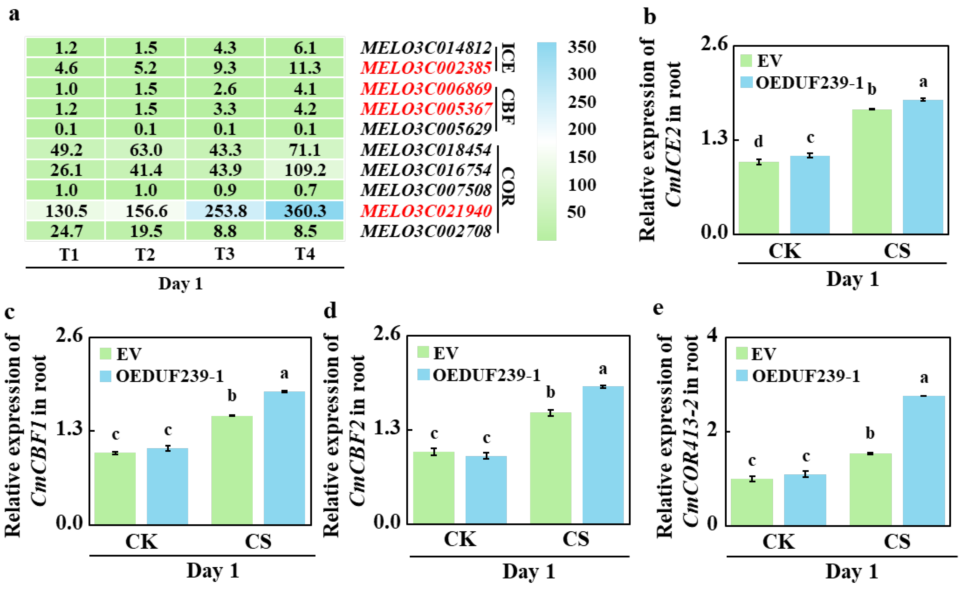 Agronomy 15 02725 g007