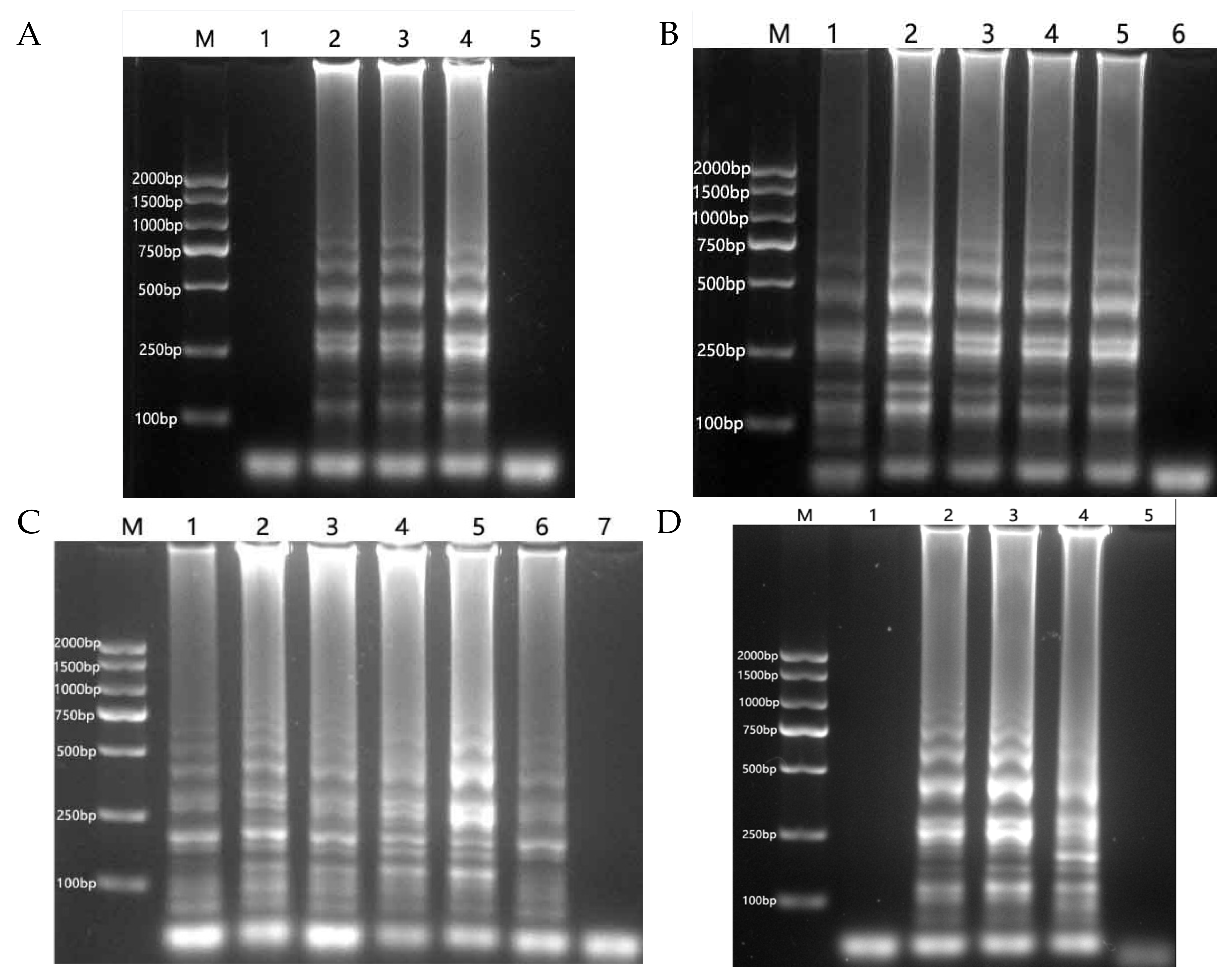 Agronomy 15 02727 g002