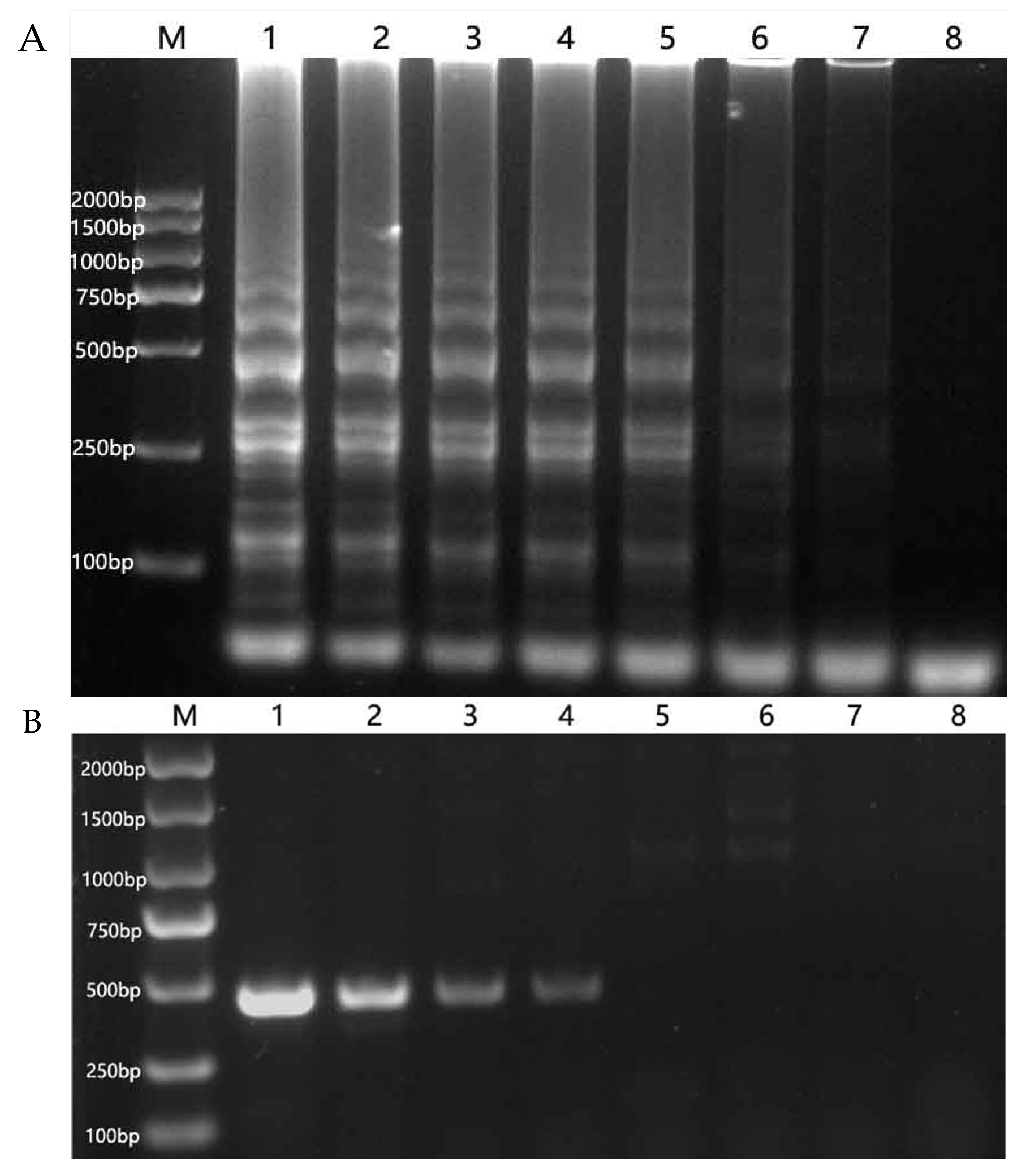 Agronomy 15 02727 g003
