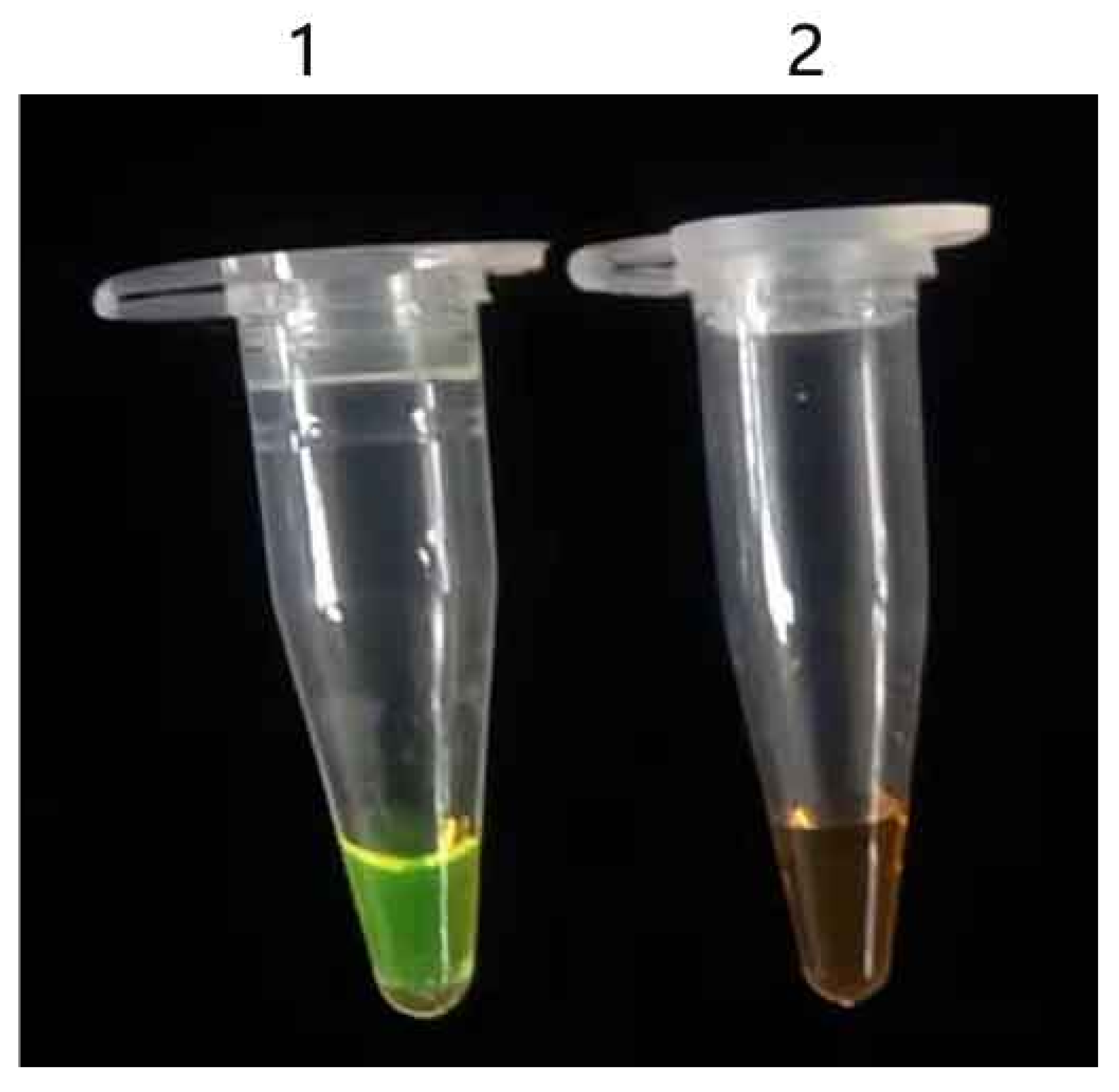 Agronomy 15 02727 g004