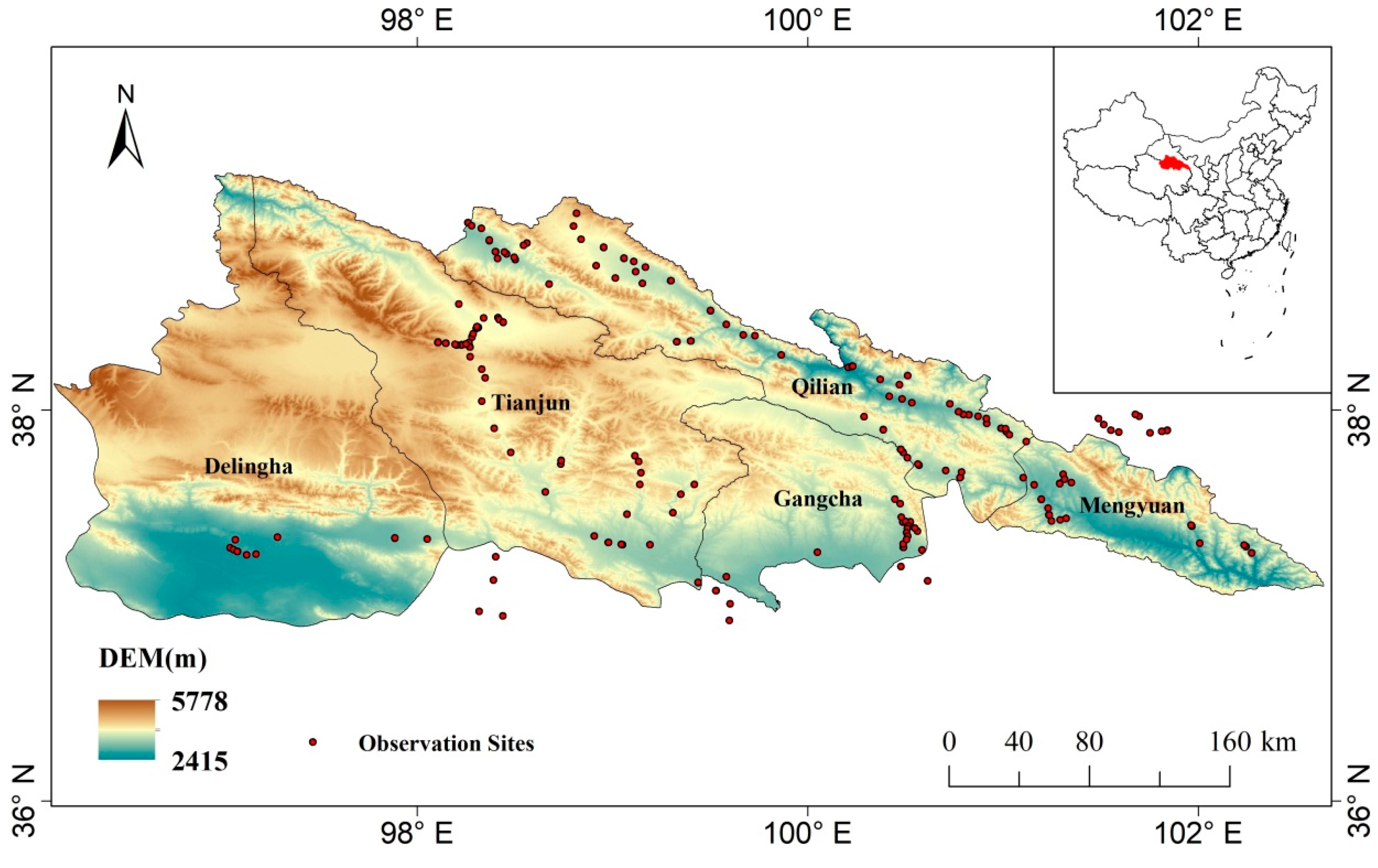 Agronomy 15 02728 g001