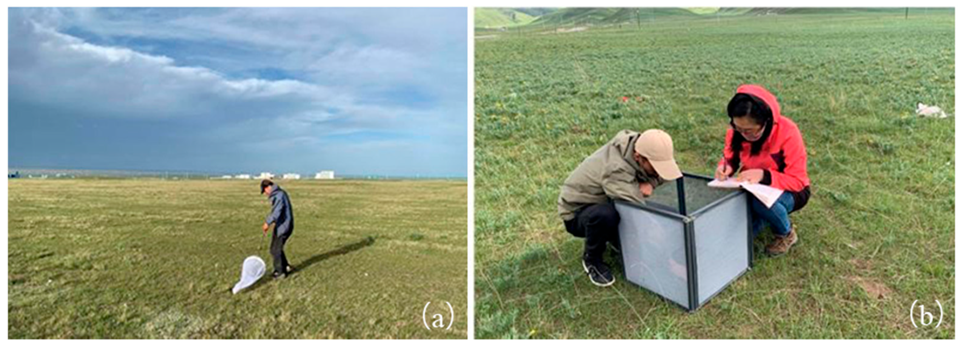 Agronomy 15 02728 g002