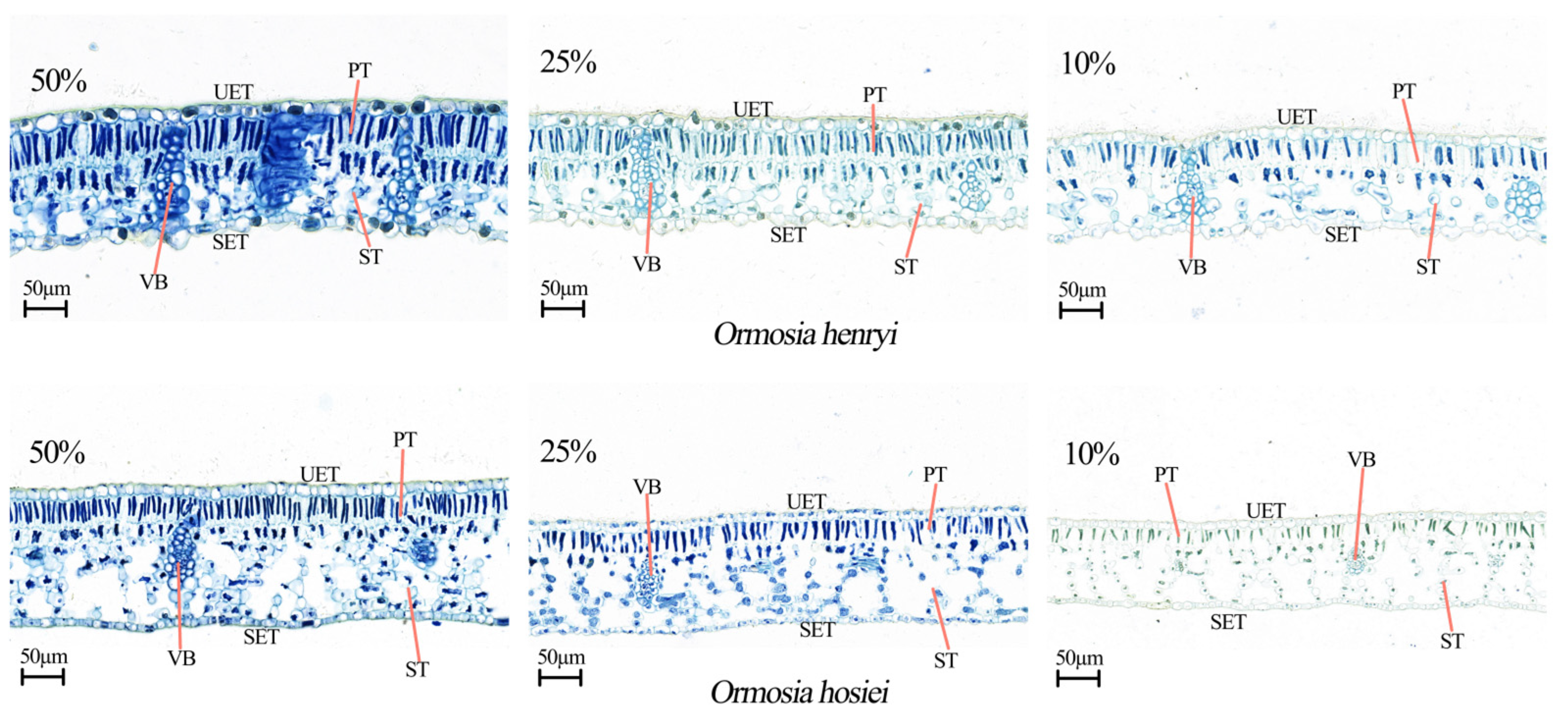 Agronomy 15 02729 g005