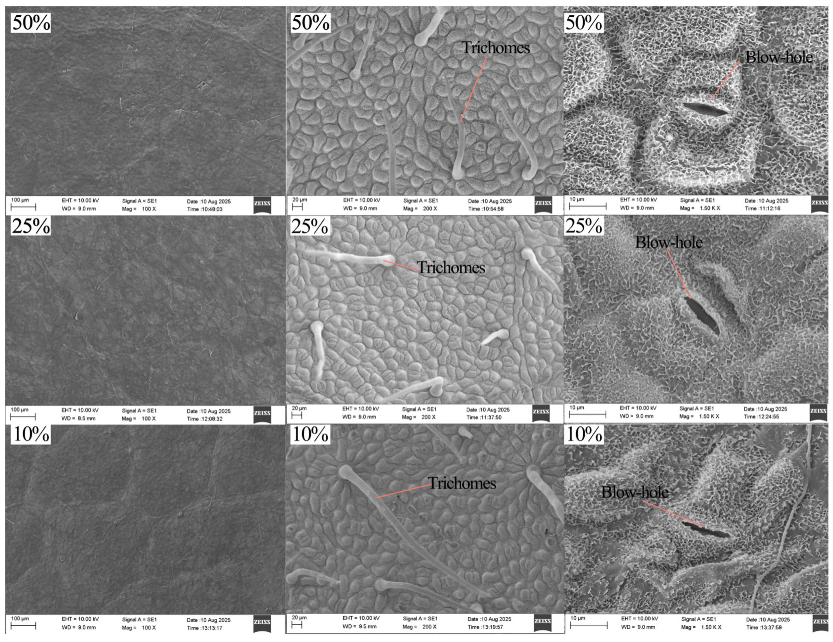 Agronomy 15 02729 g007