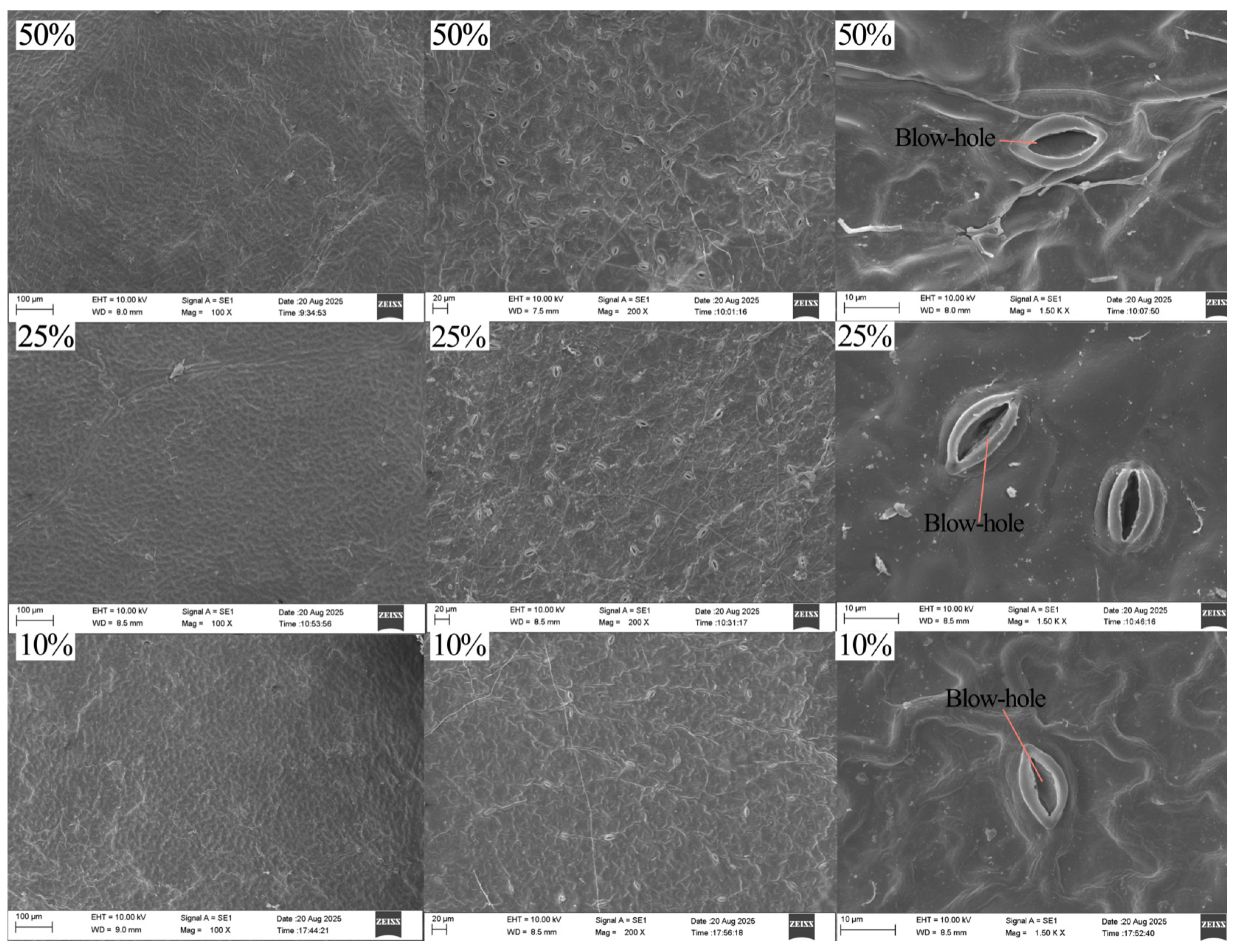 Agronomy 15 02729 g008