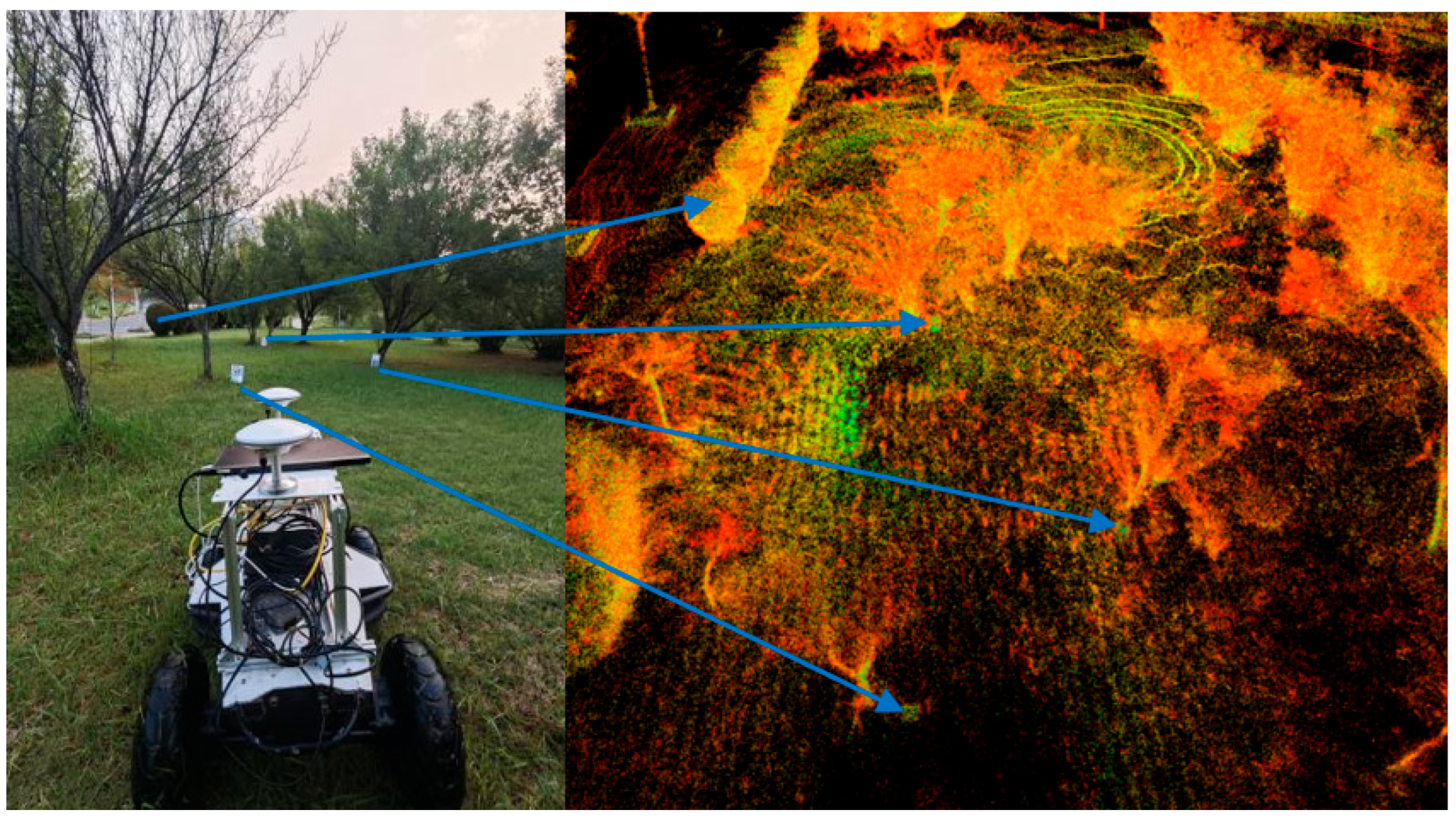 Agronomy 15 02731 g011