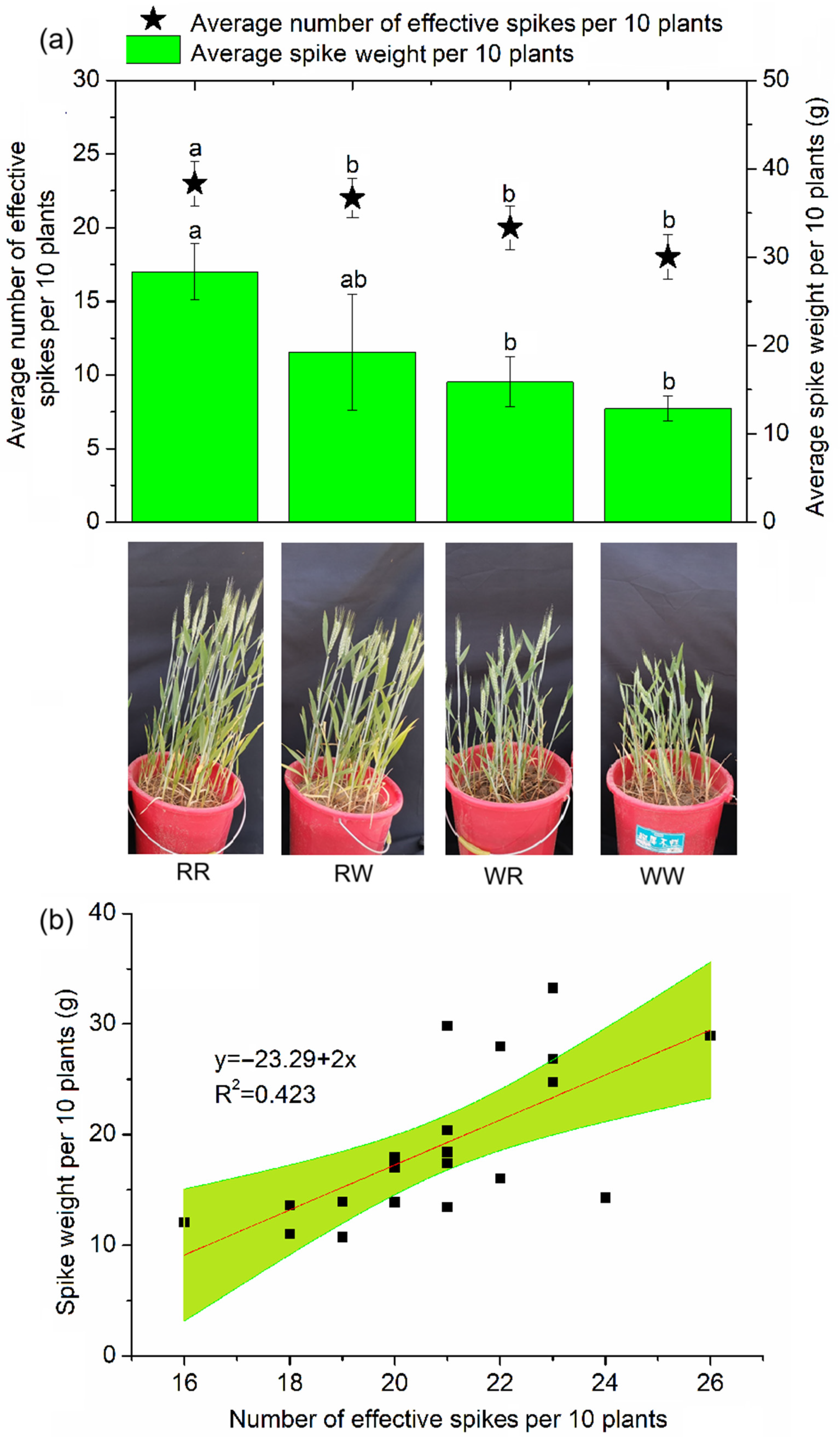 Agronomy 15 02732 g001