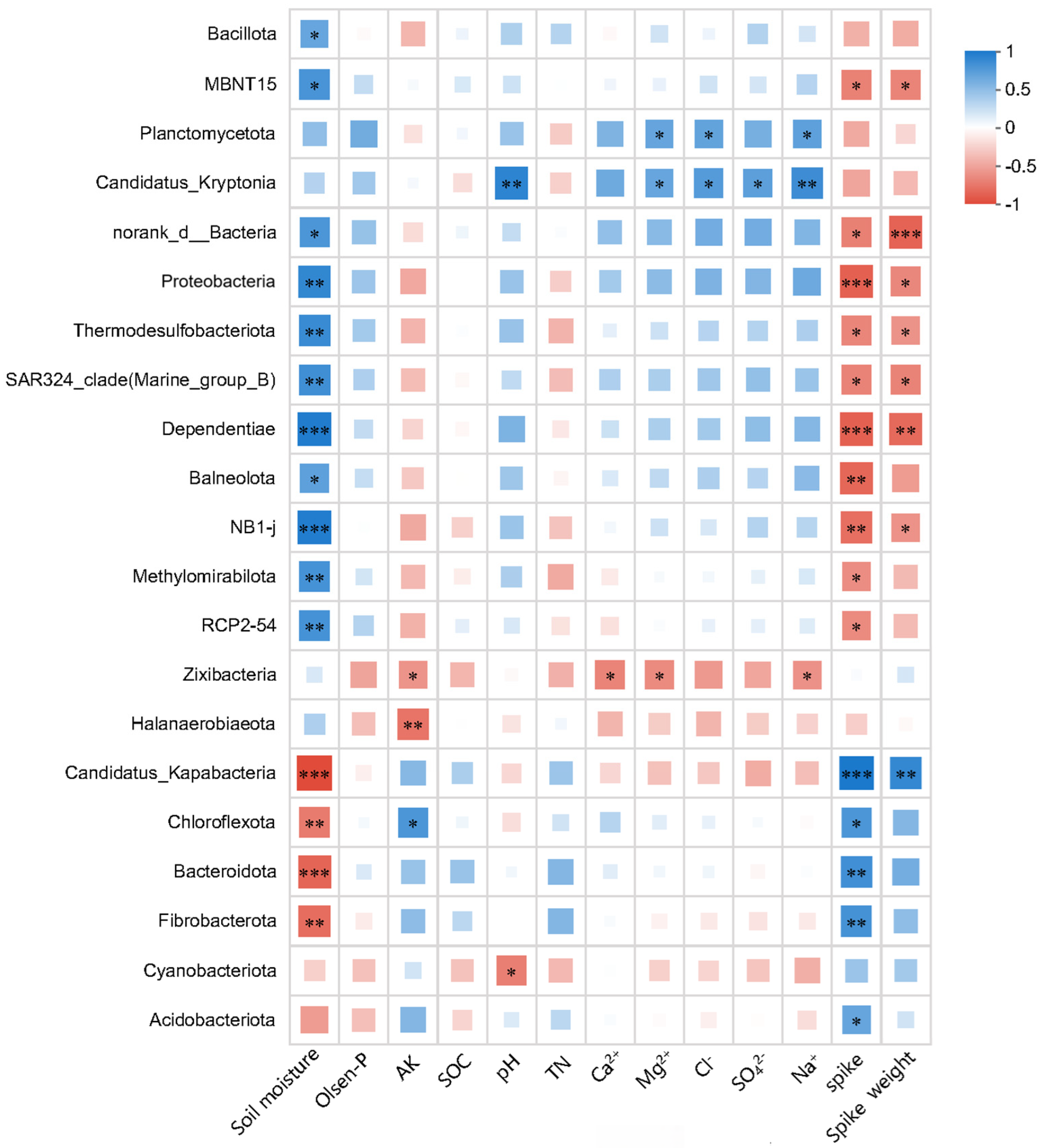 Agronomy 15 02732 g005