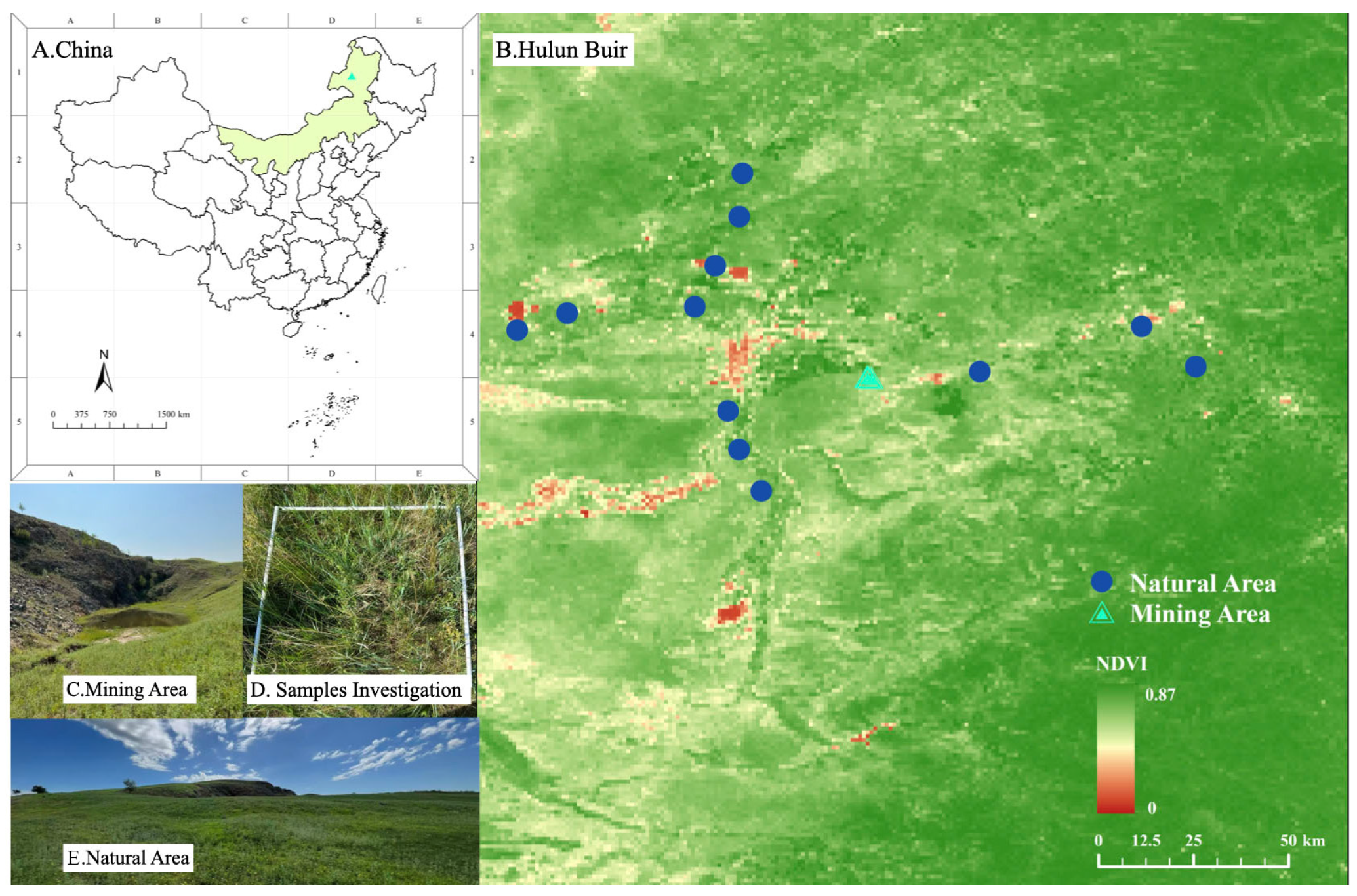 Agronomy 15 02733 g001