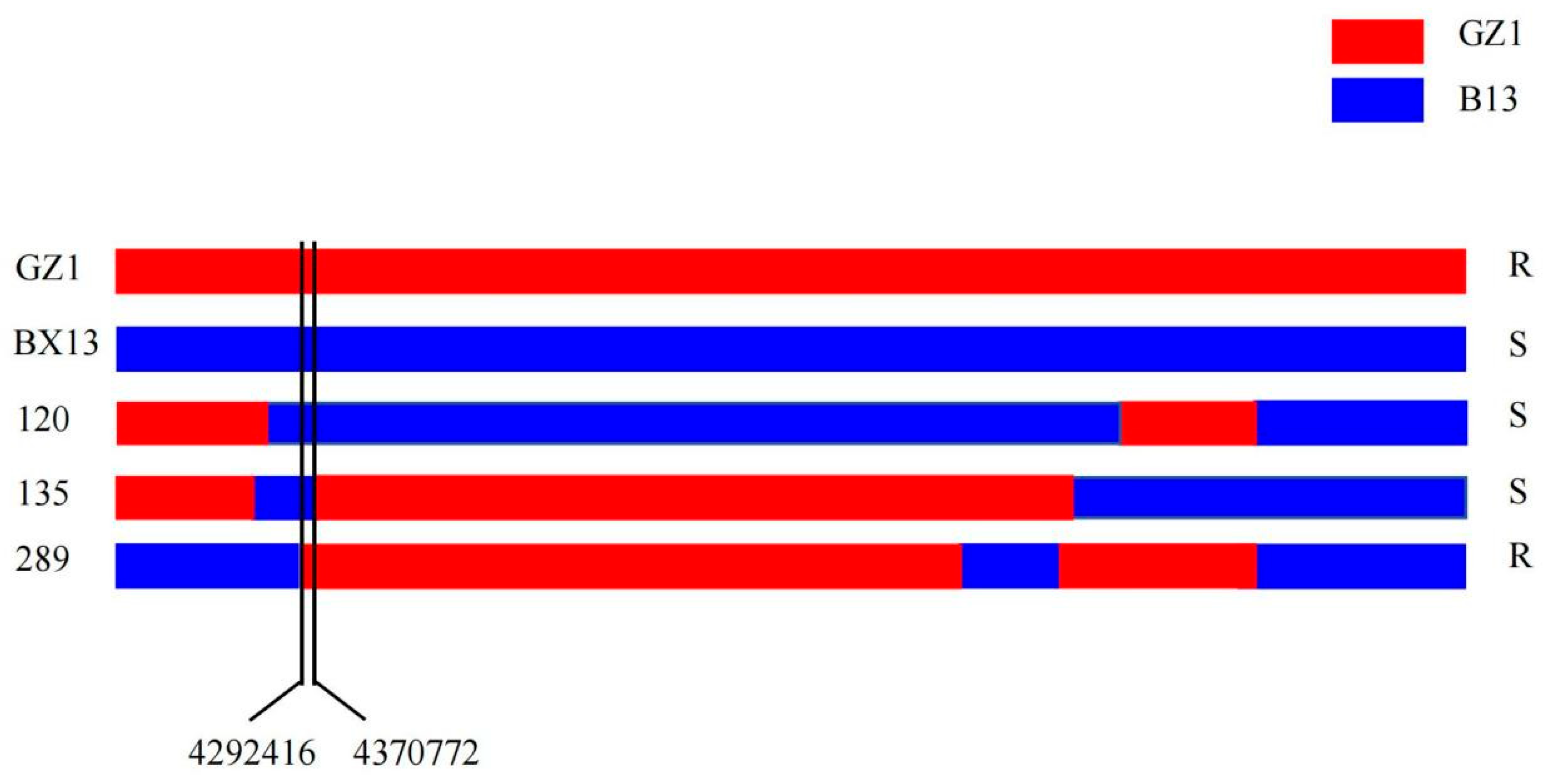 Agronomy 15 02736 g002