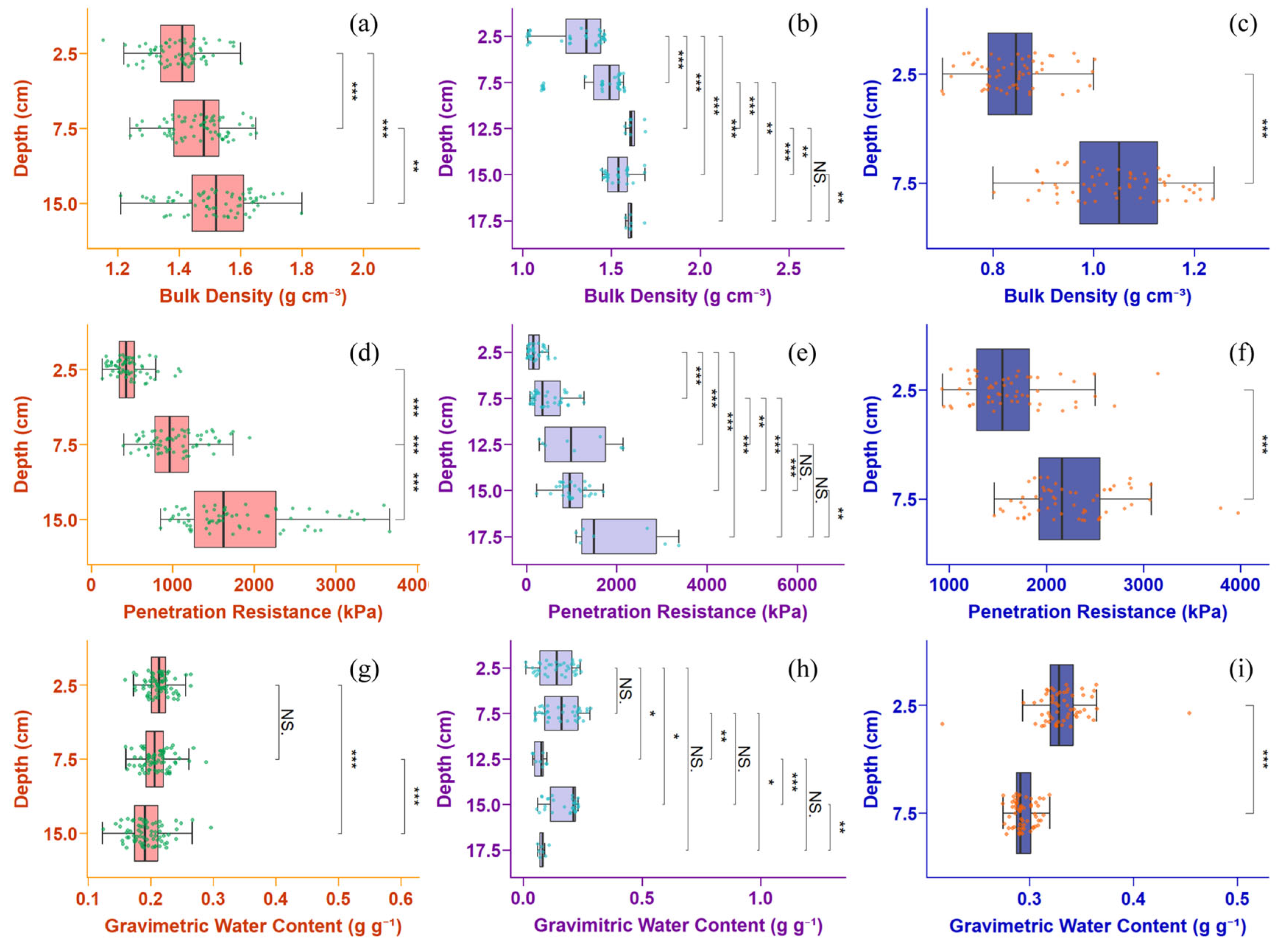 Agronomy 15 02737 g002