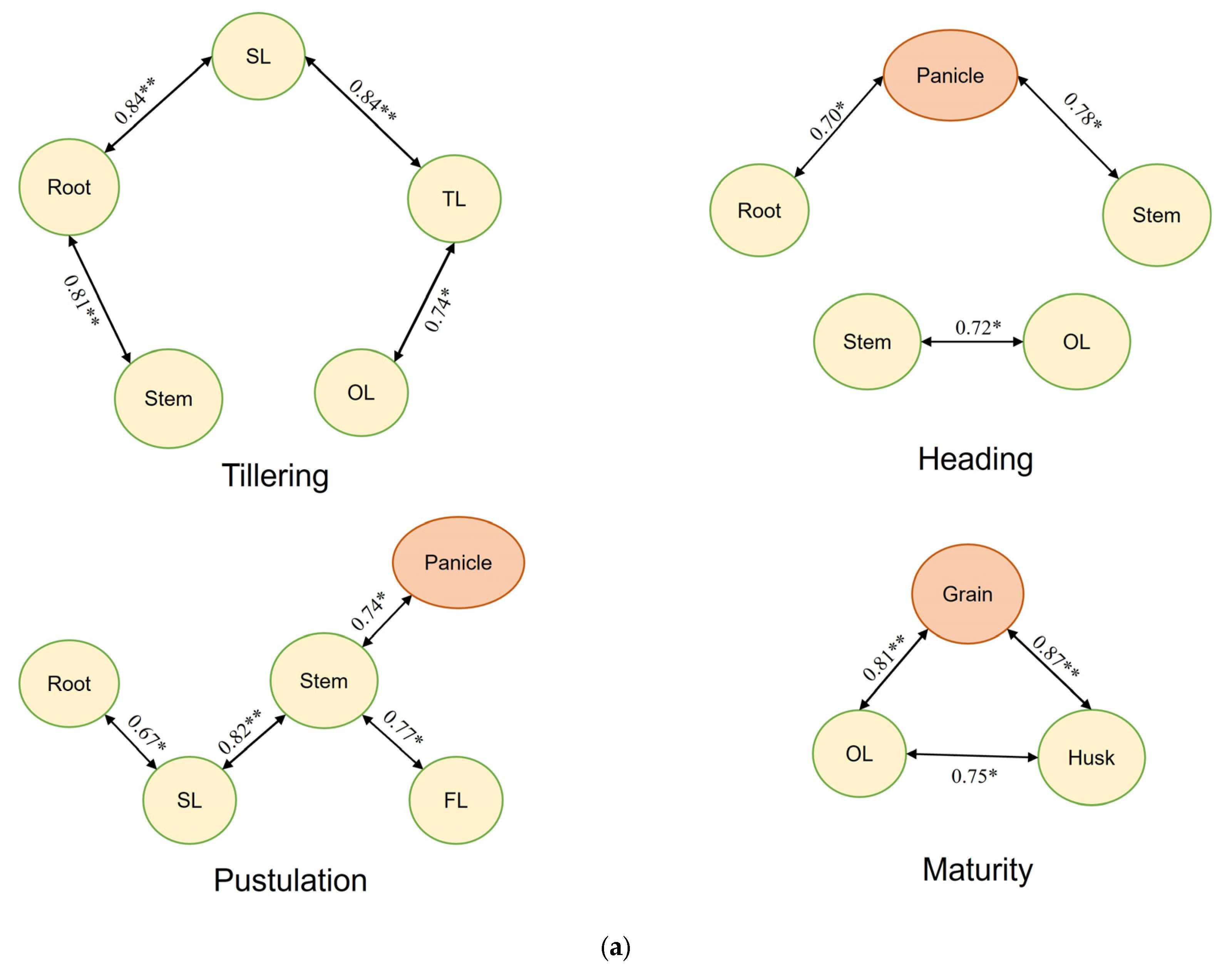 Agronomy 15 02740 g005a