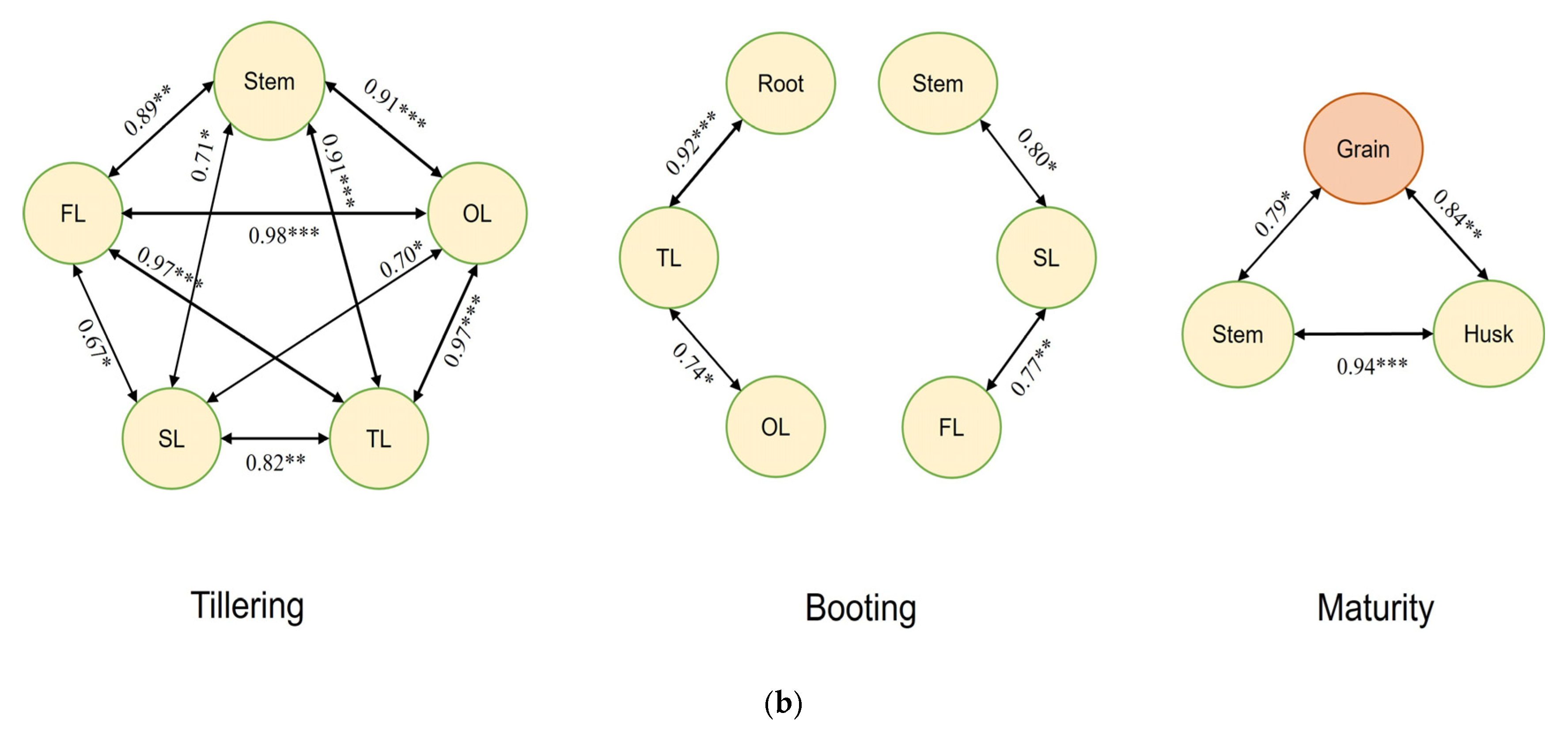 Agronomy 15 02740 g005b