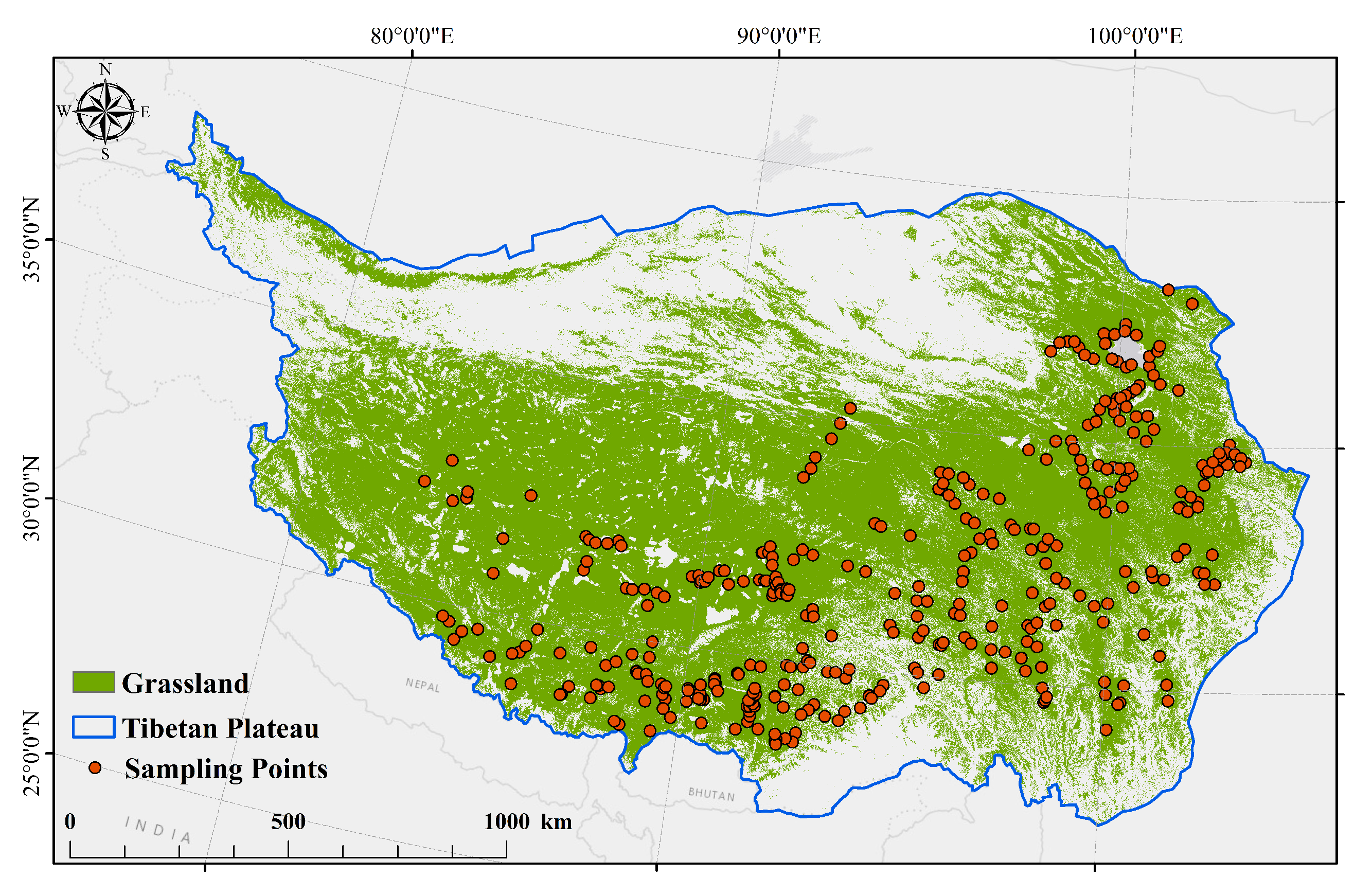 Agronomy 15 02743 g001