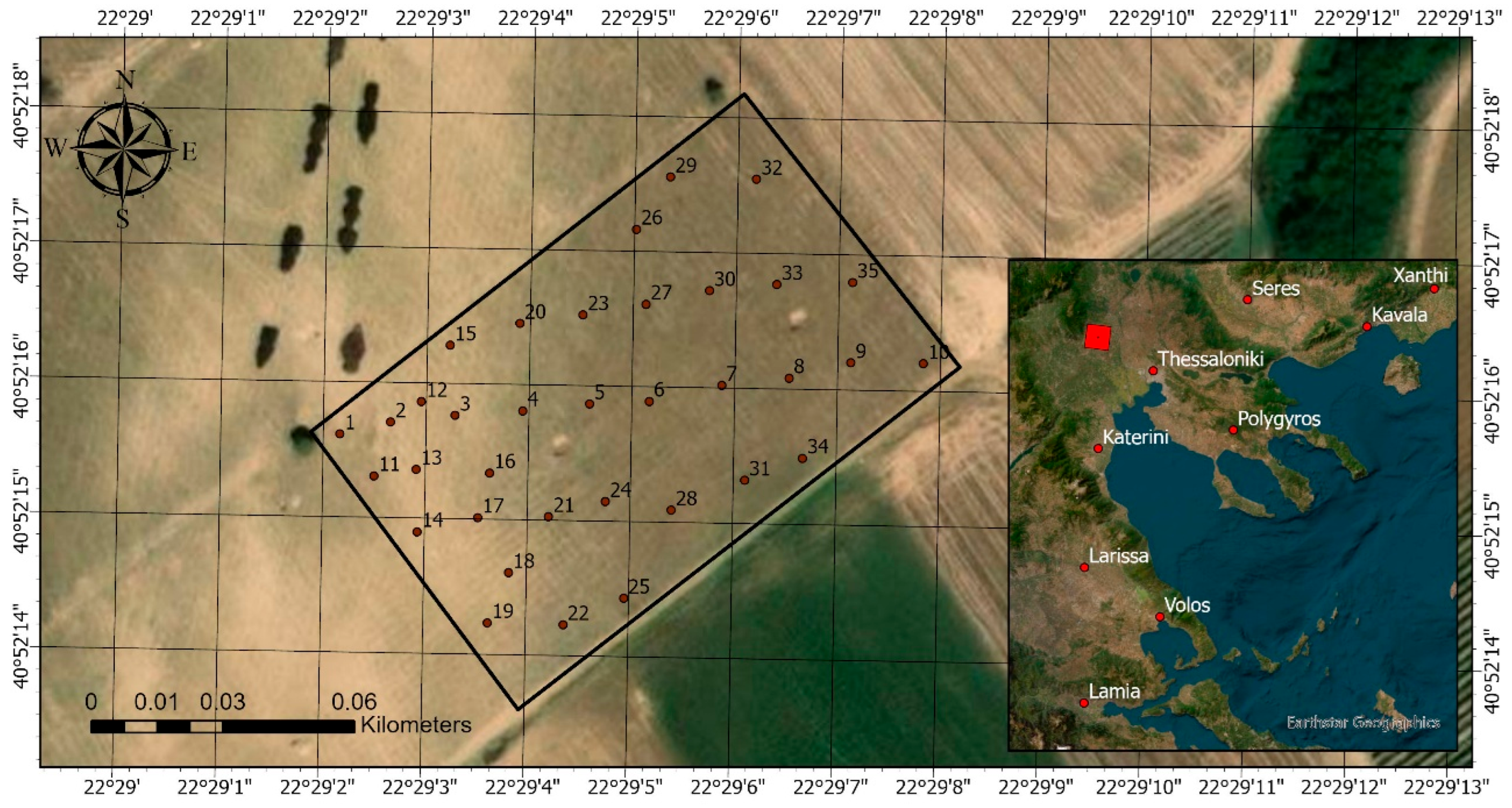 Agronomy 15 02745 g001