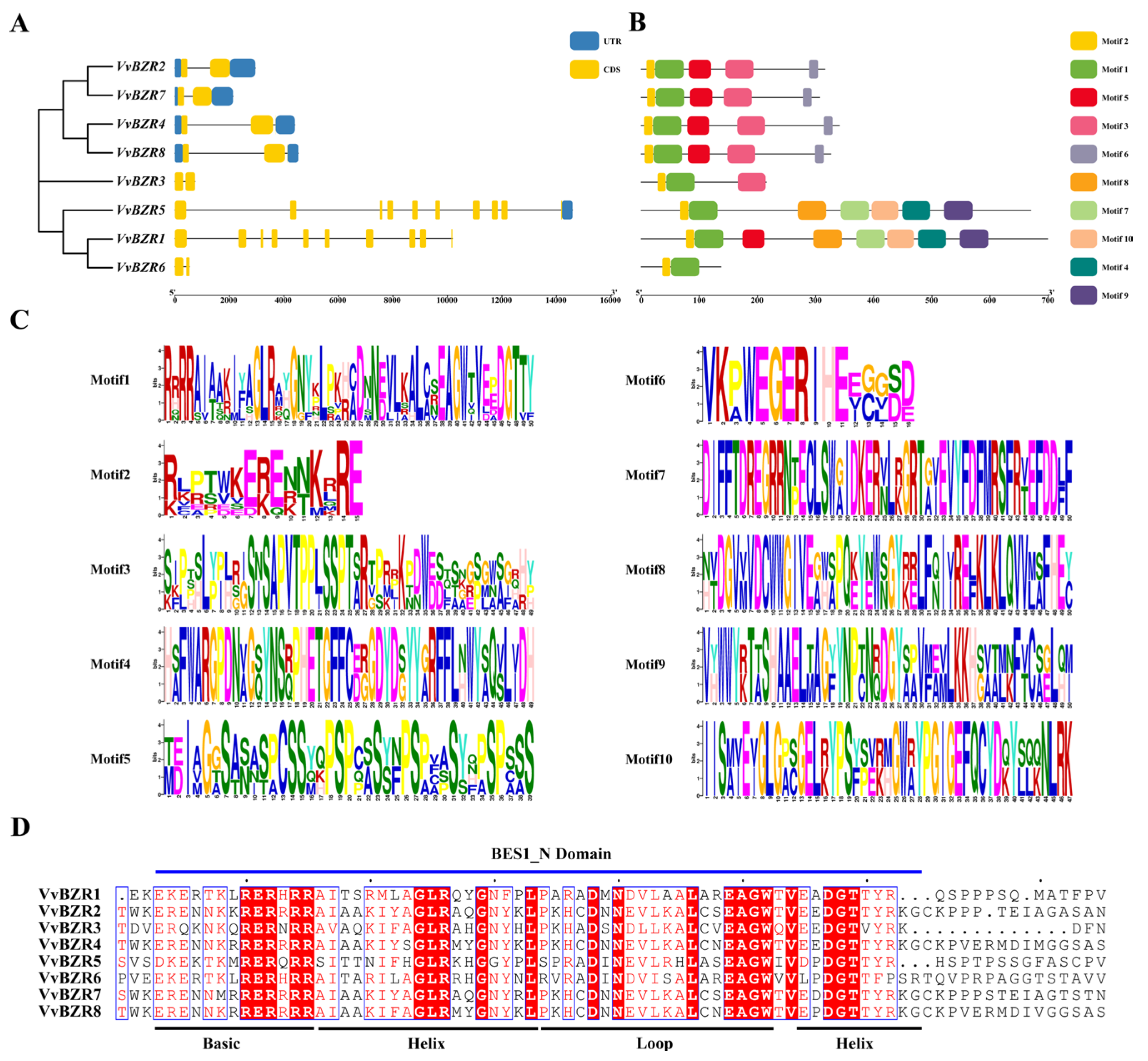 Agronomy 15 02749 g002 Agronomy 15 02749 g002
