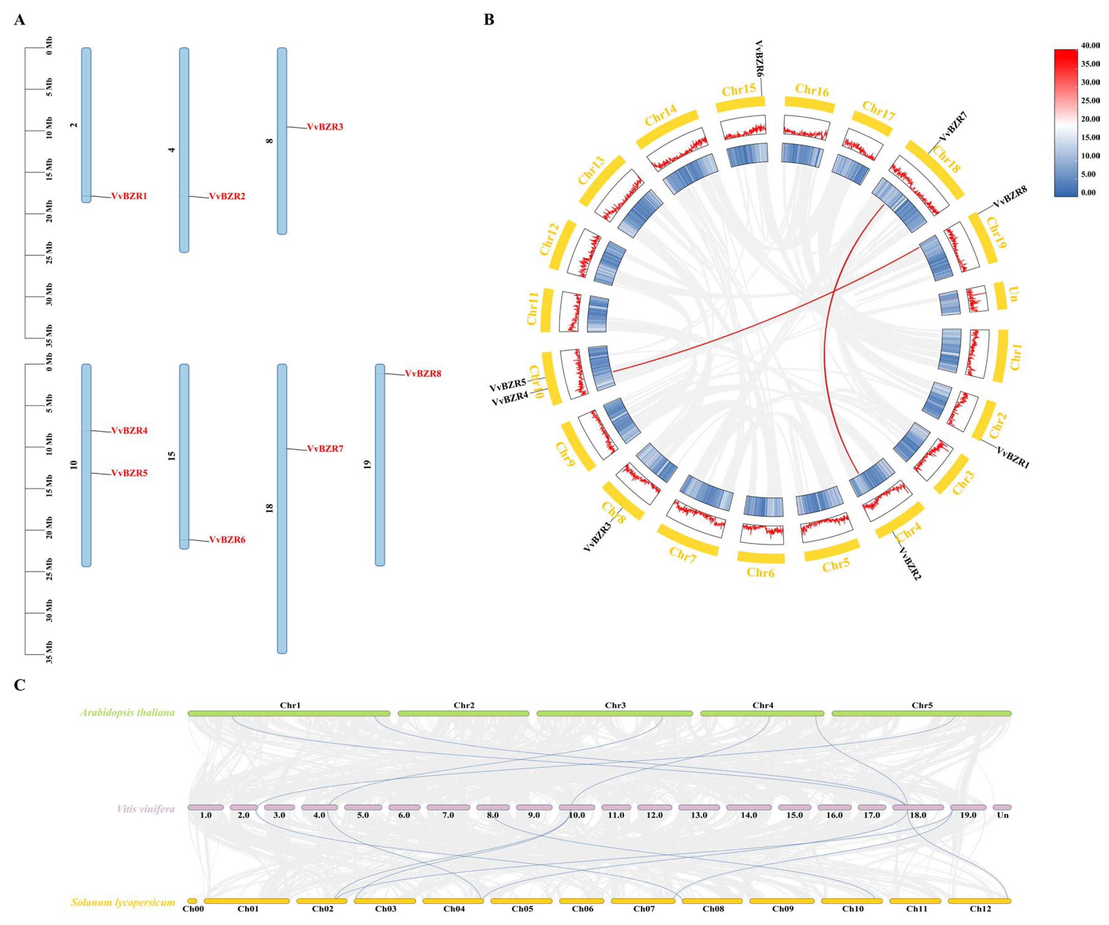 Agronomy 15 02749 g003 Agronomy 15 02749 g003