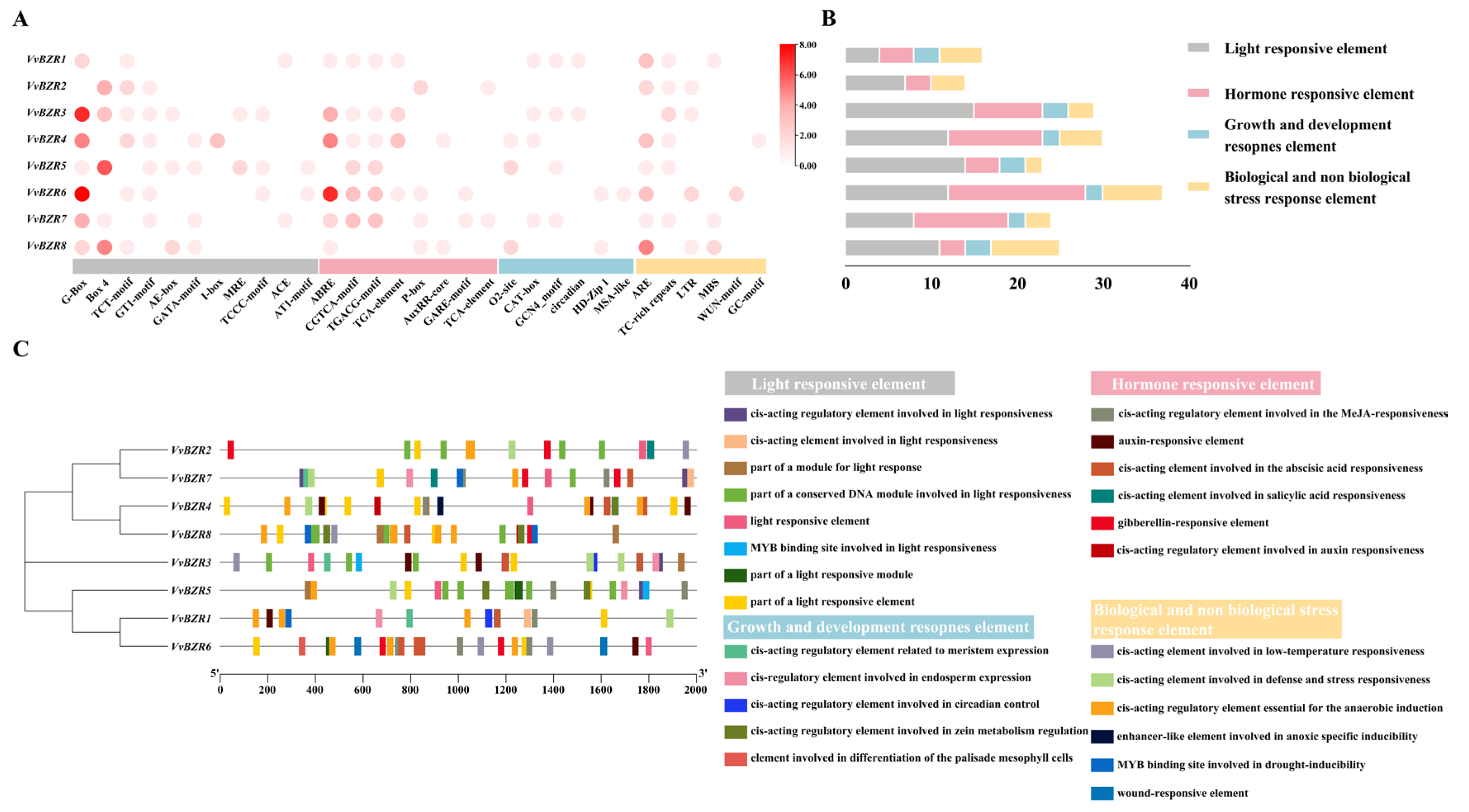 Agronomy 15 02749 g004 Agronomy 15 02749 g004