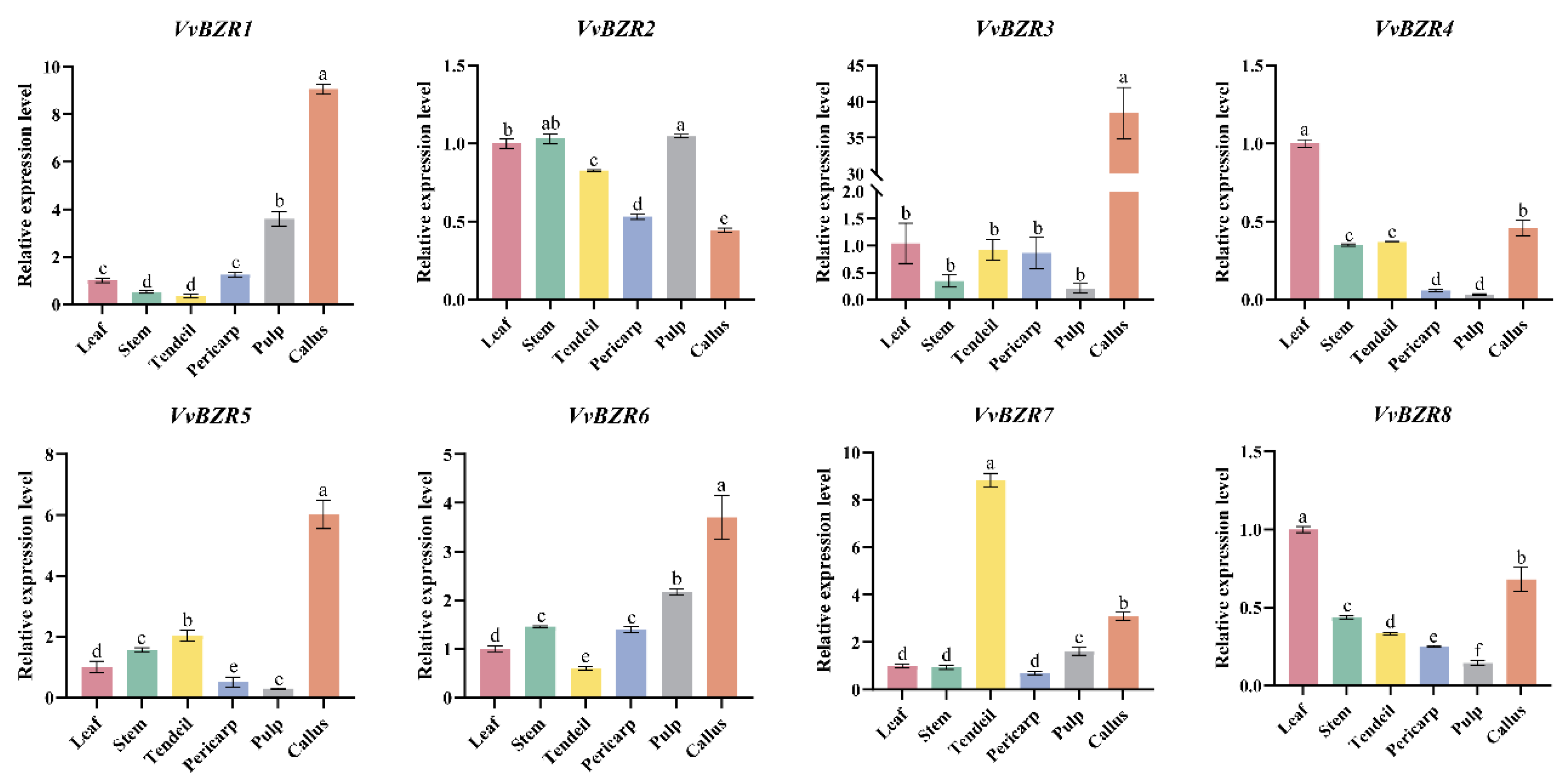 Agronomy 15 02749 g005 Agronomy 15 02749 g005