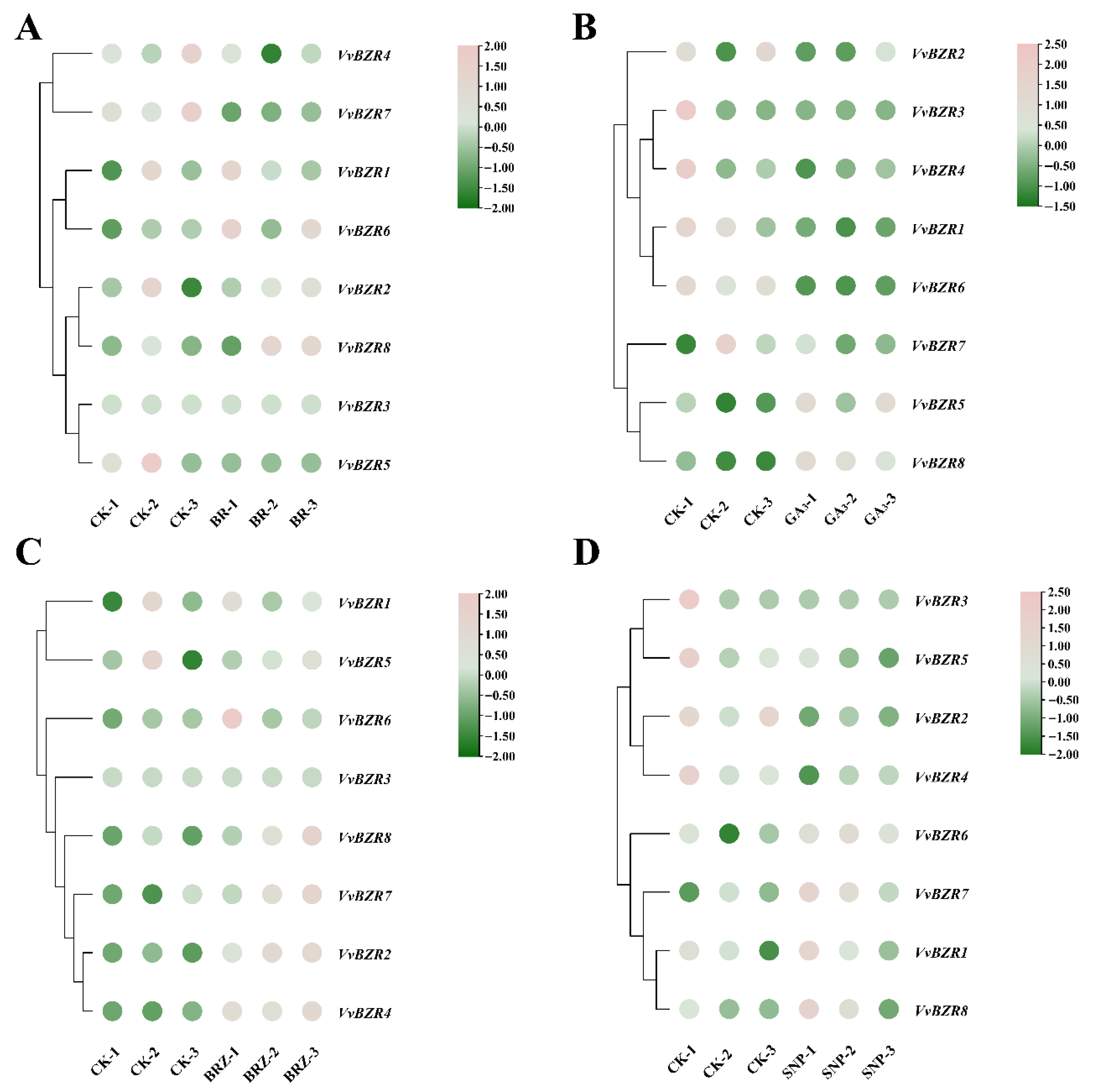 Agronomy 15 02749 g006 Agronomy 15 02749 g006