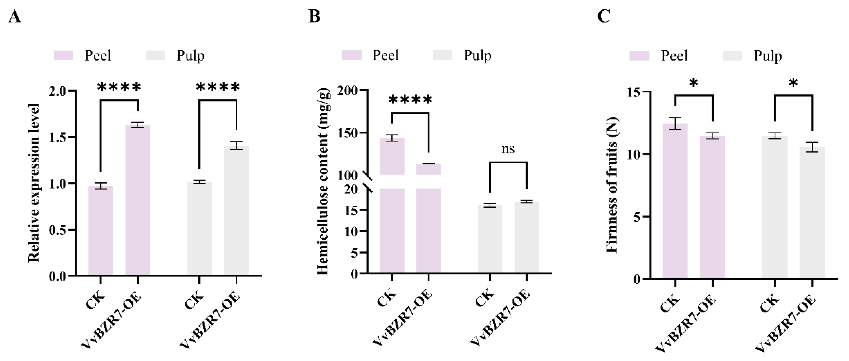 Agronomy 15 02749 g008 Agronomy 15 02749 g008